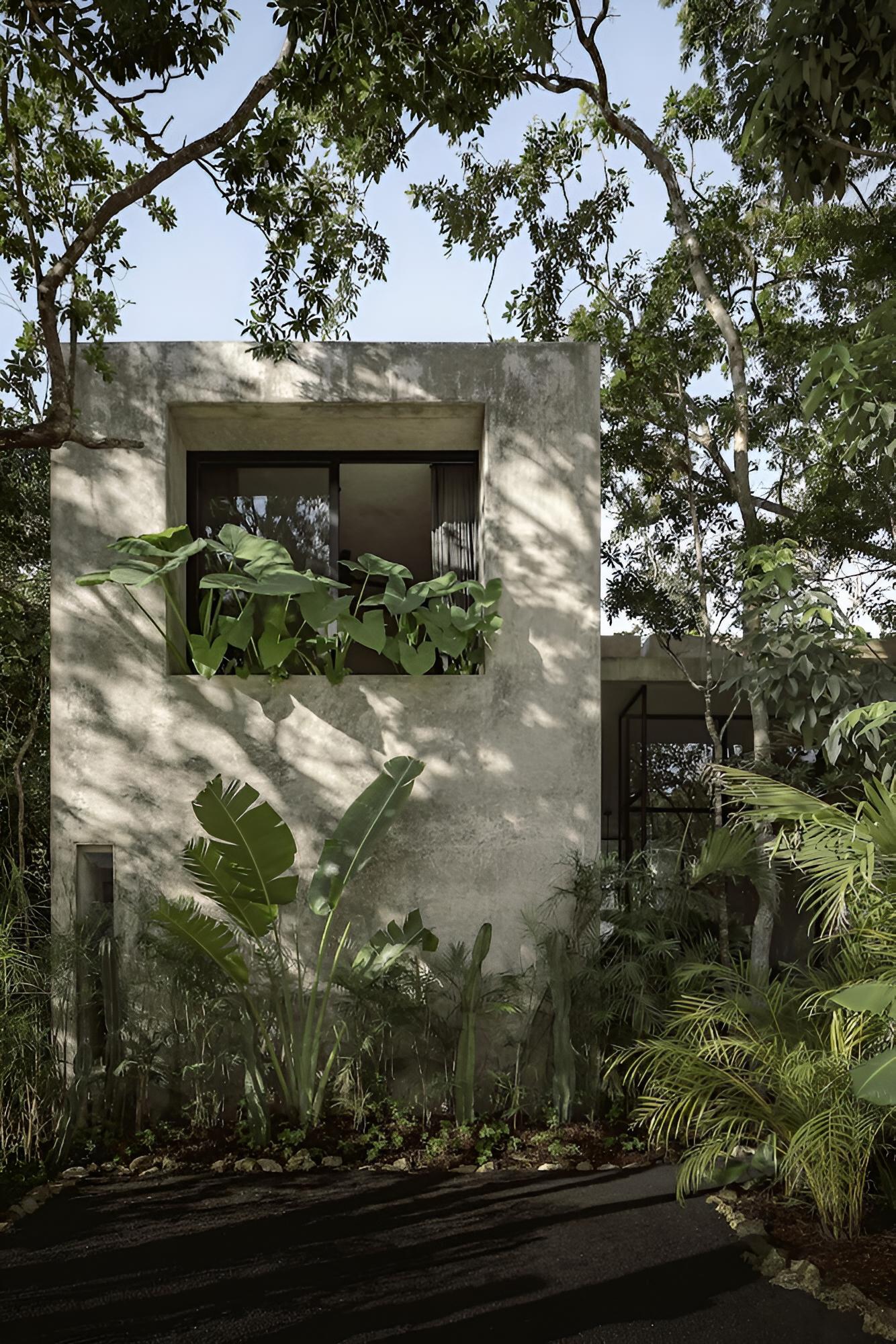 Casa Aviv House Design Awards Dream Swim-up Pool 360 View Rooftop Lush Gardens