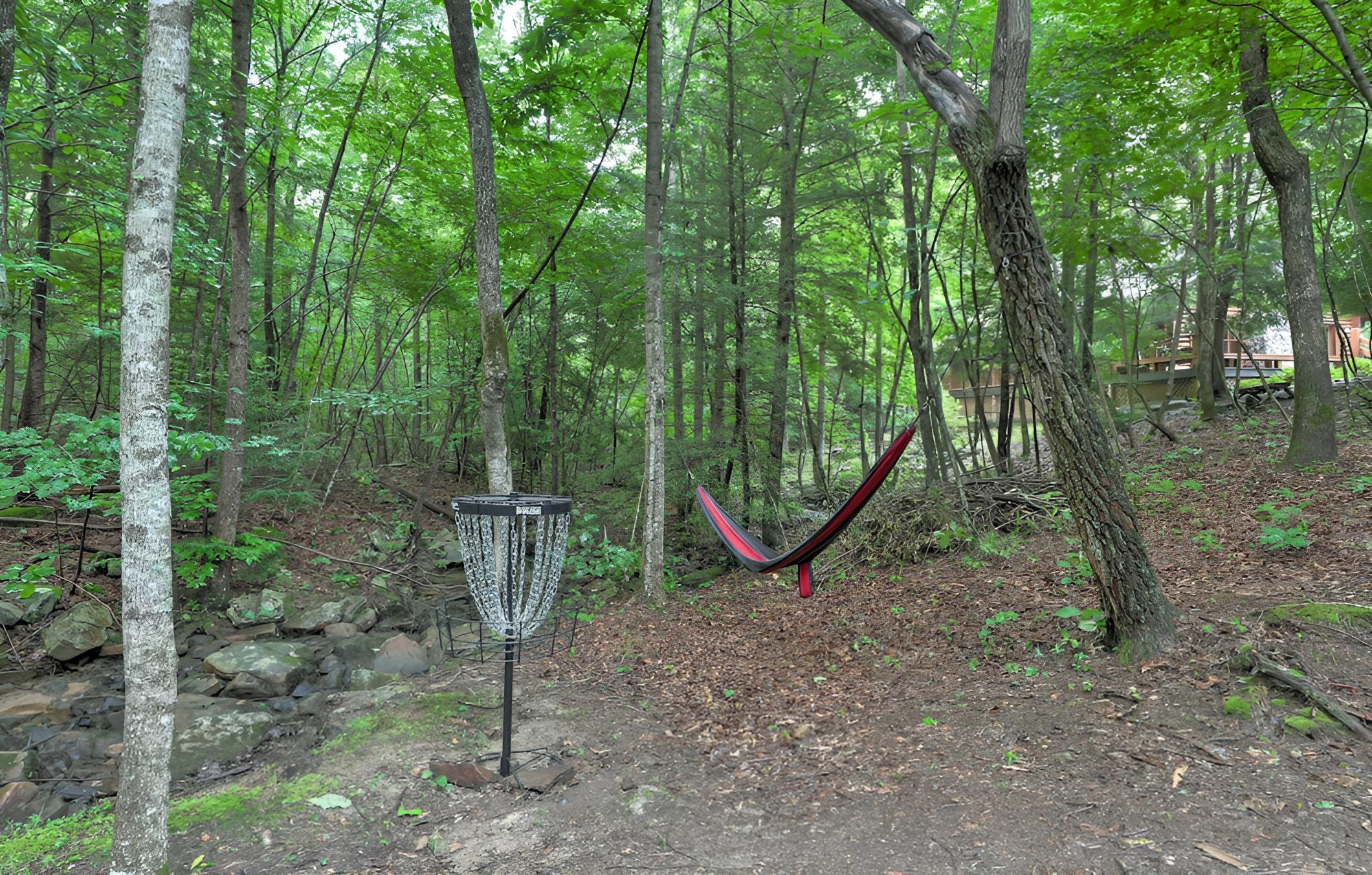 Coalmont Cabin < 10 Miles to Hiking & Fishing
