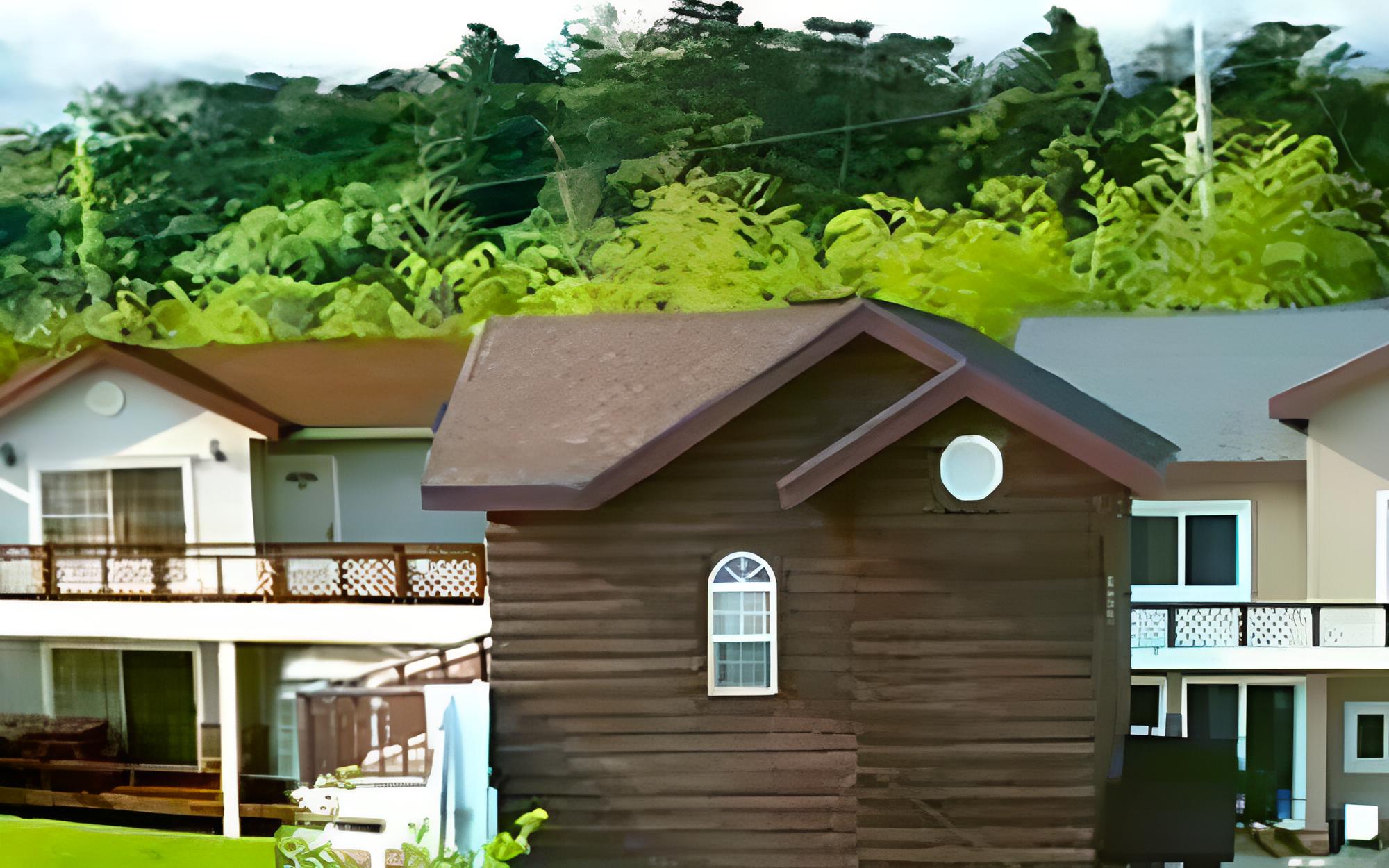 Jeju Millennium Vill Stay
