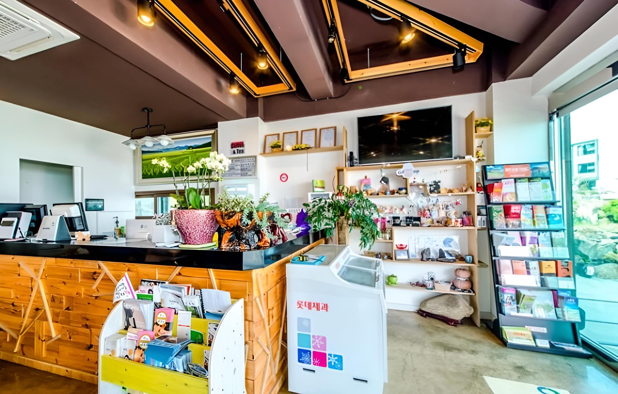Seogwipo Donnaeko Pension view 2