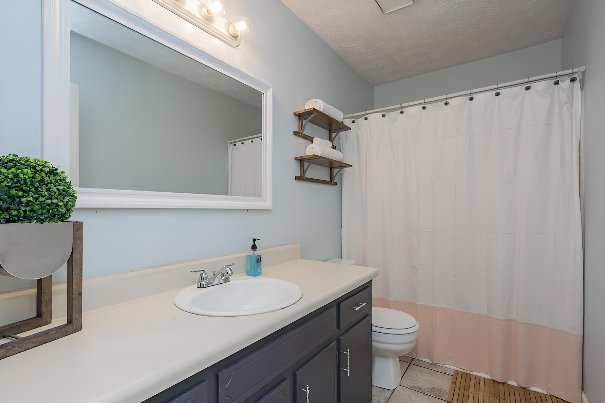 Take a Jog in Nearby Shelby Park at a Bright, Cozy Home view 4