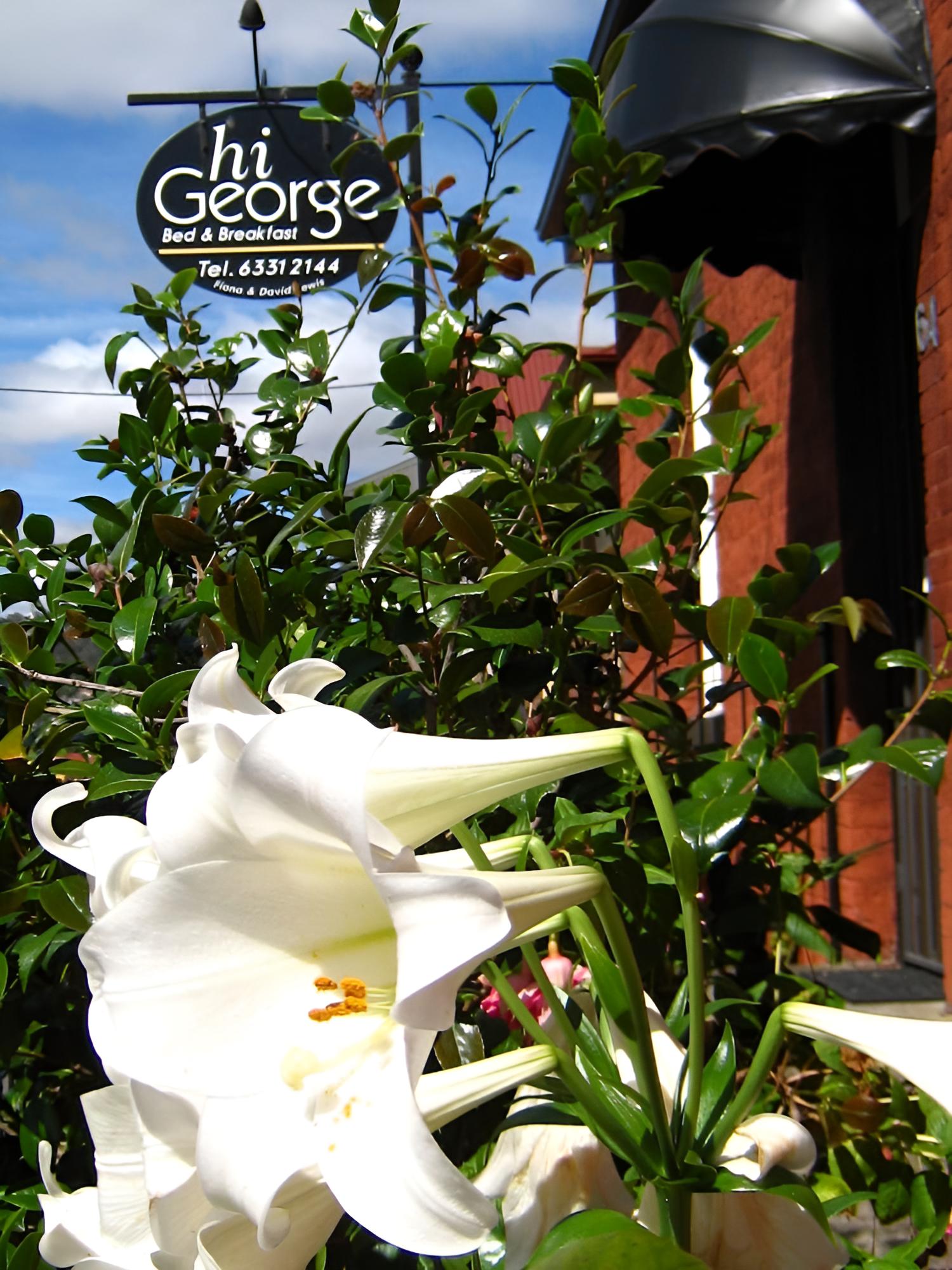 Hi George Bed & Breakfast
