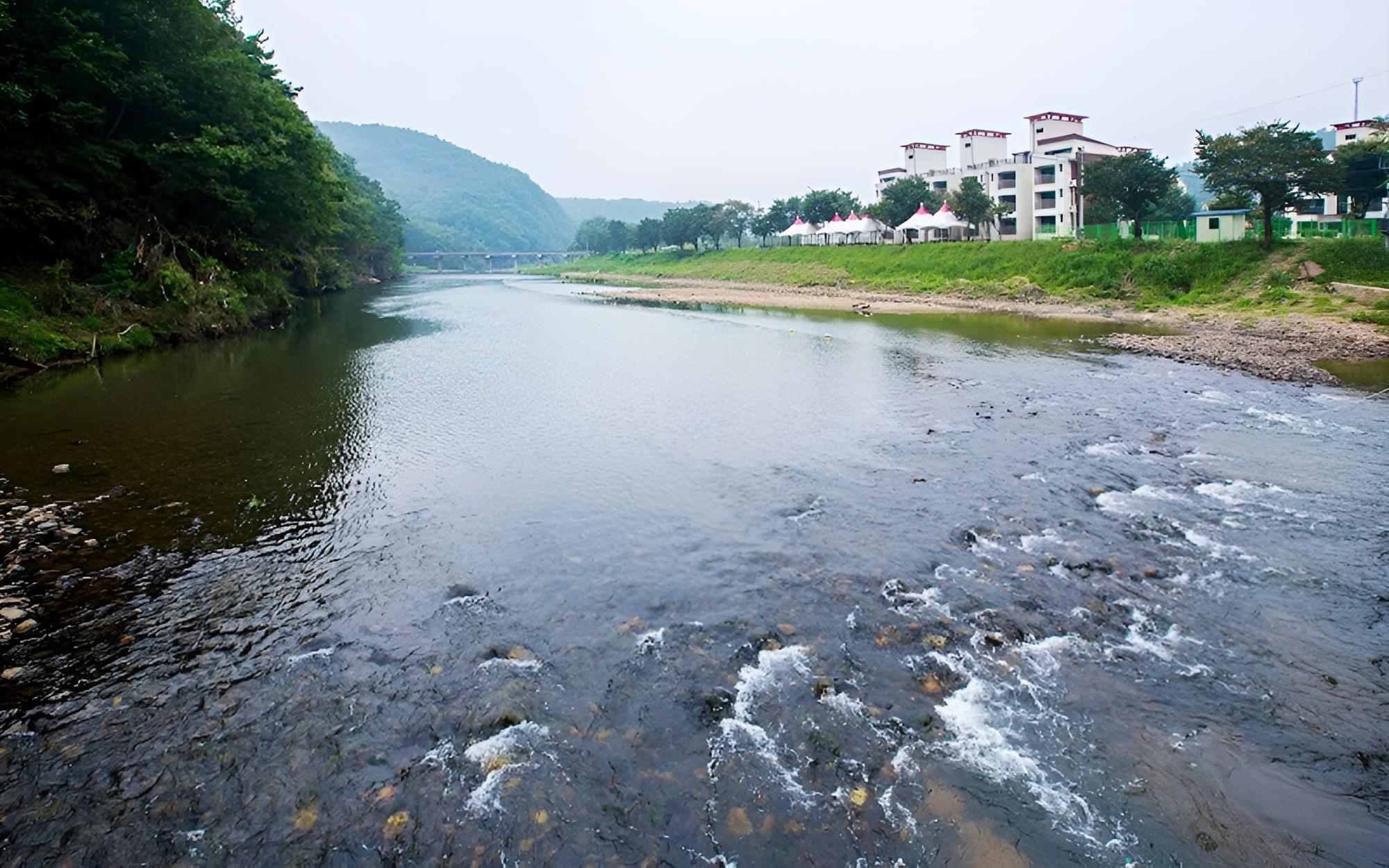 Cheongju Geumgwansup Byeoljang Pension view 4