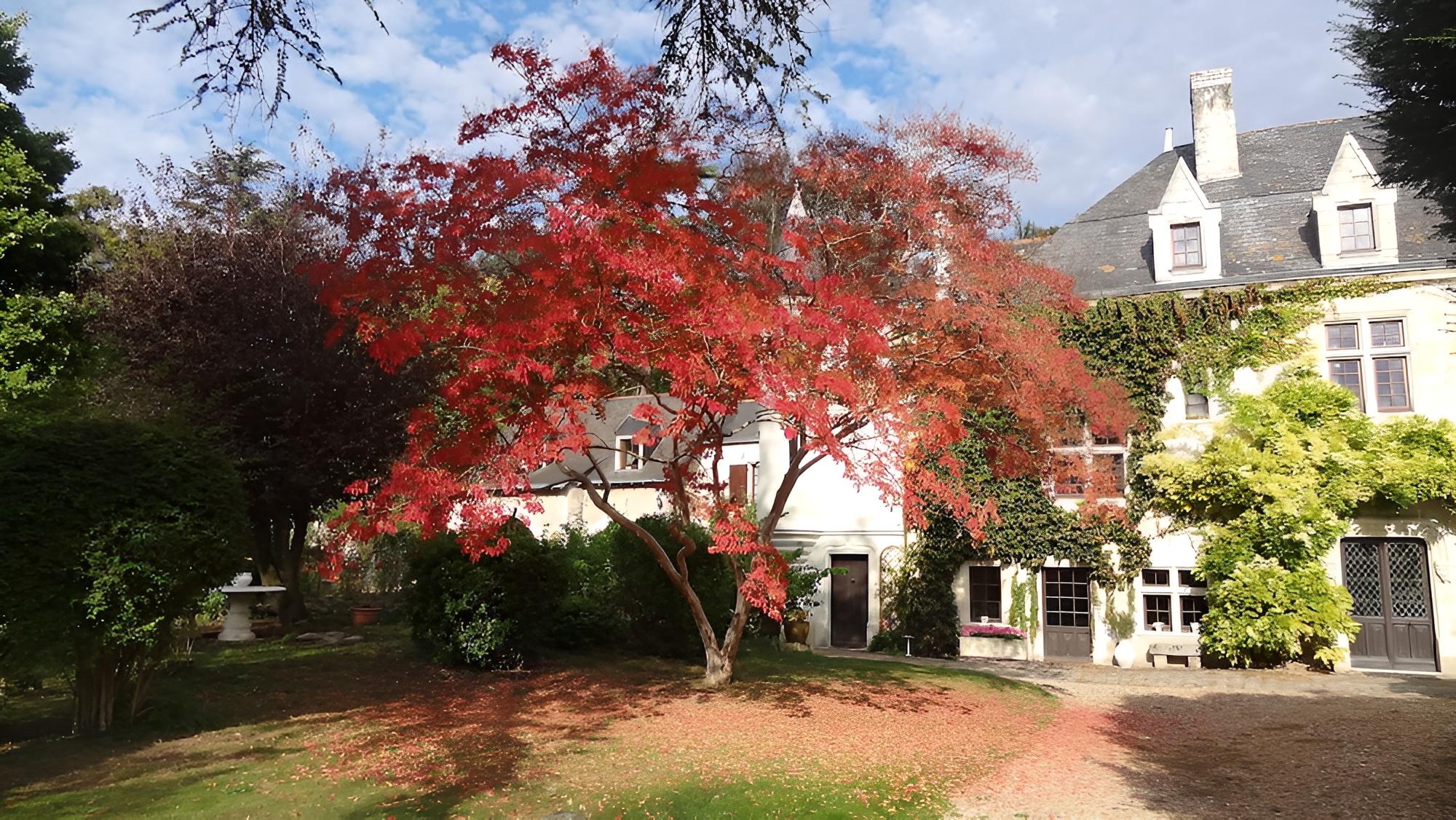 Le Manoir de la Baldette