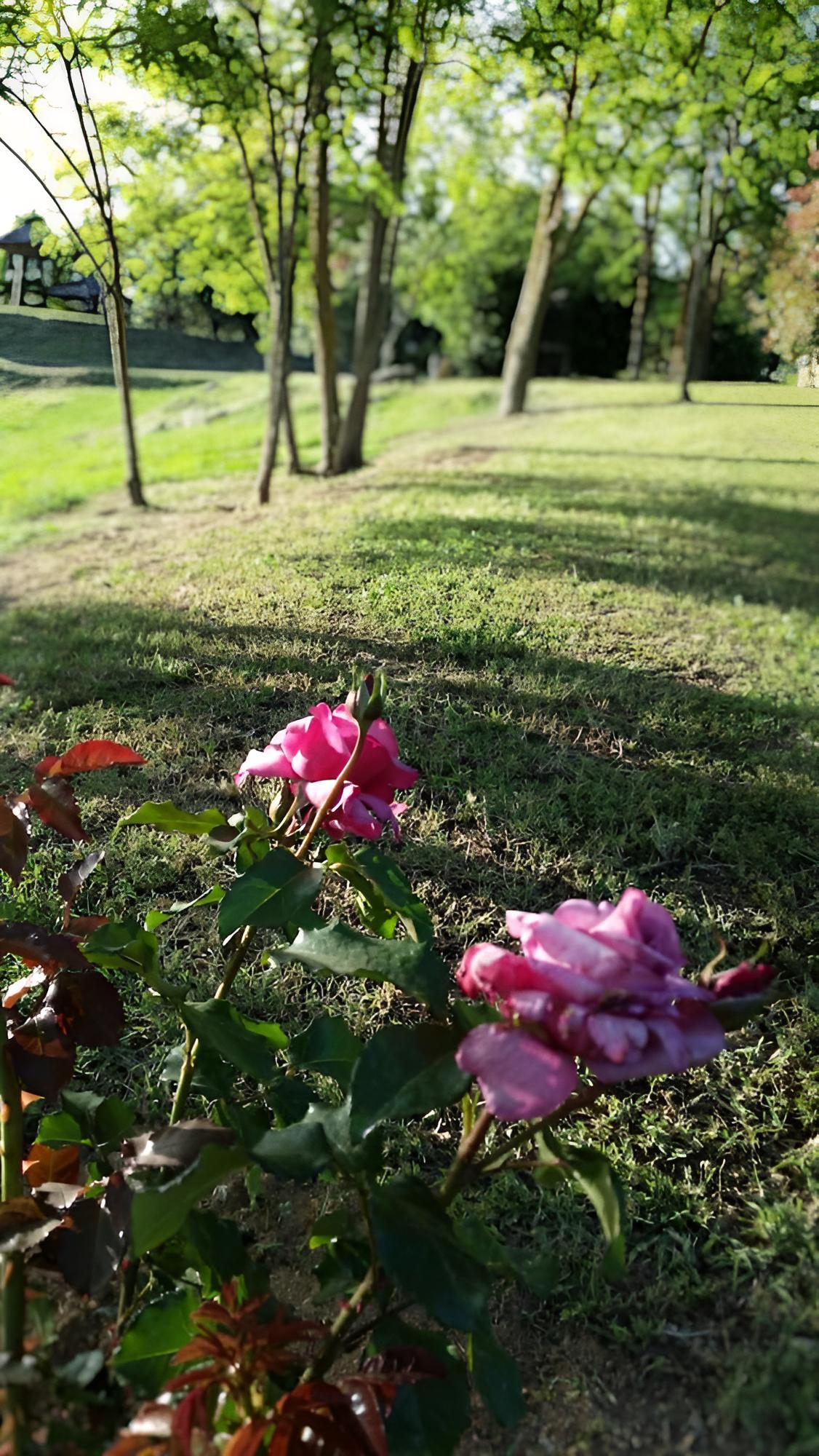 Agriturismo Bonzalone