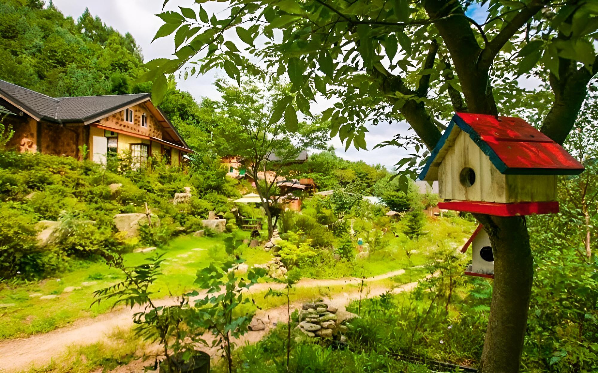 Pyeongchang Dolbaenamu Segeuru Pension