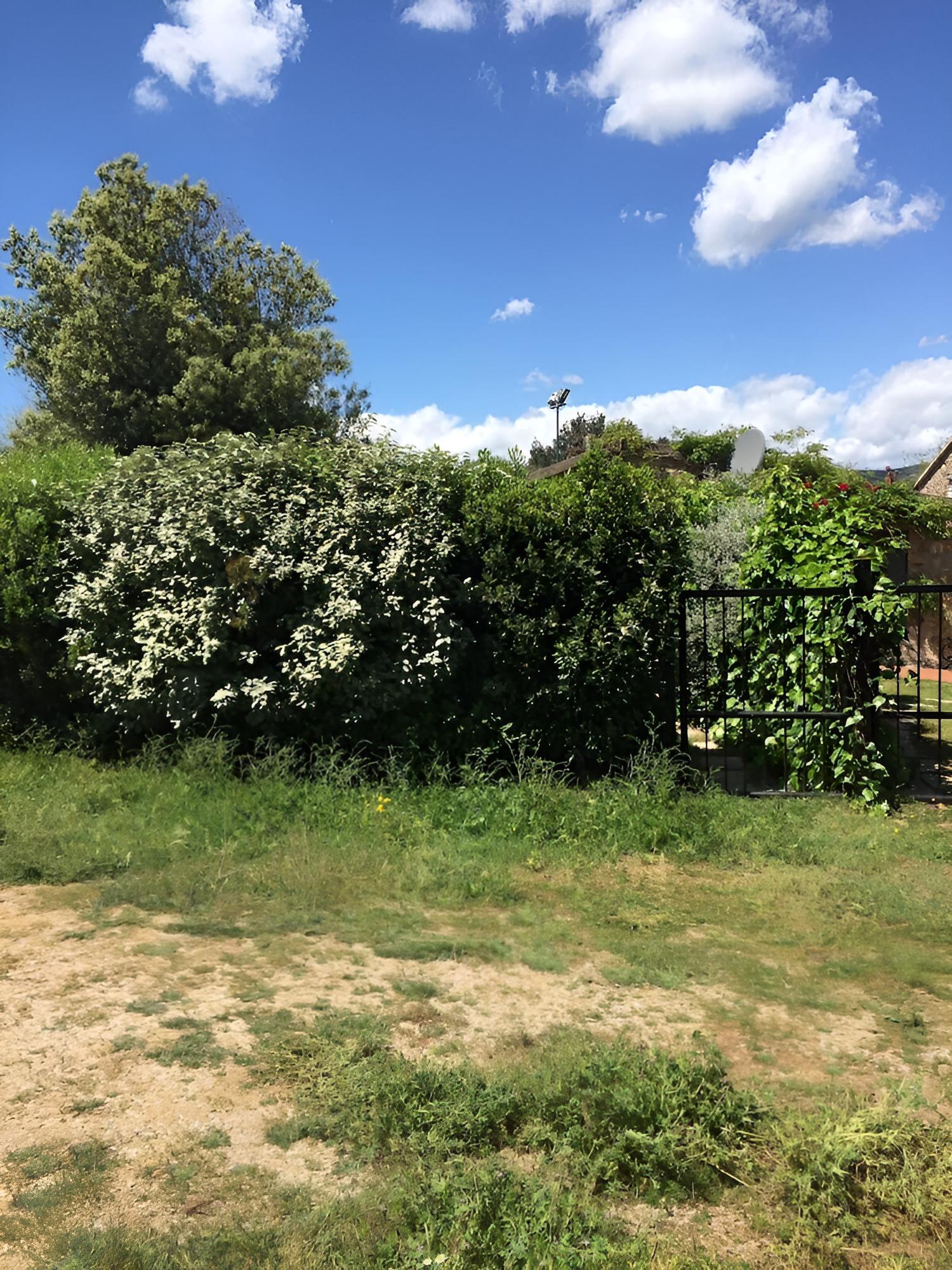 Photo 27