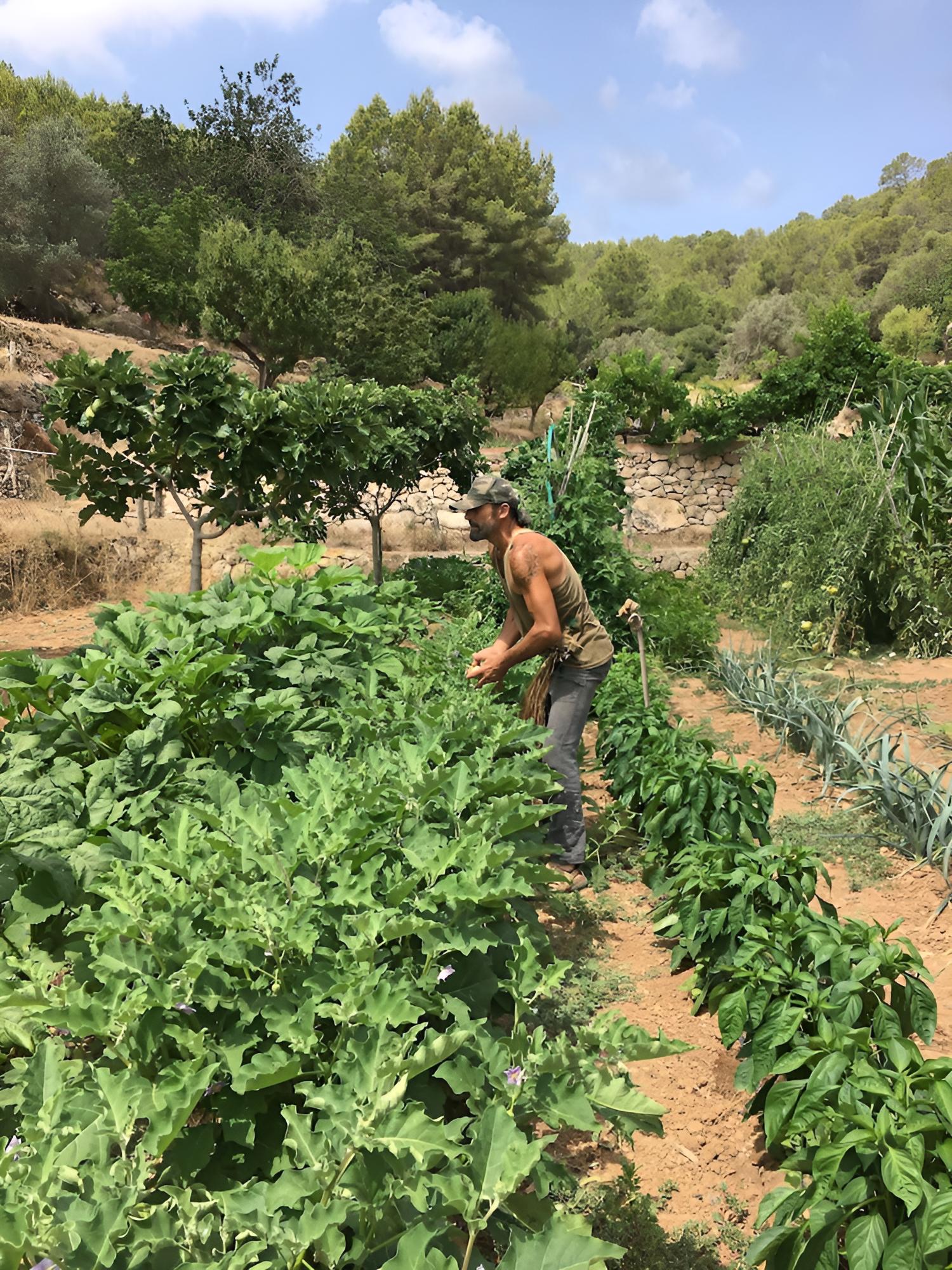 Agroturismo Ca Sa Vilda Marge