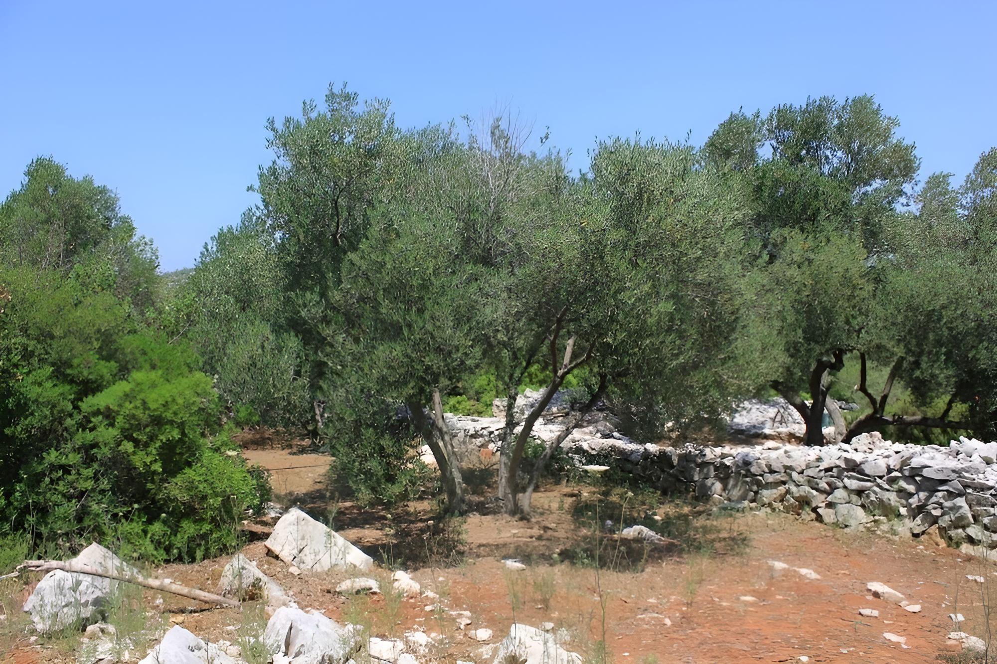 Nature Park - Relaxing and Comfortable - H view 3