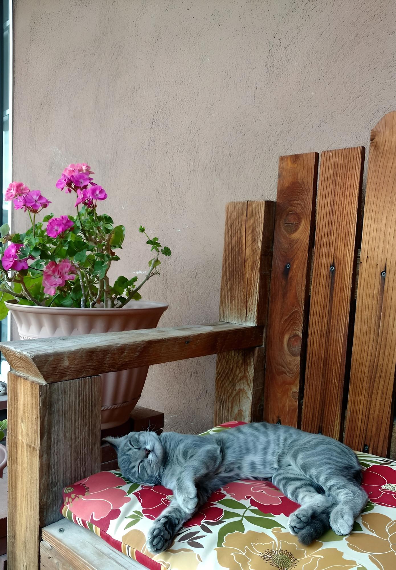 Casa Azul Bed & Breakfast