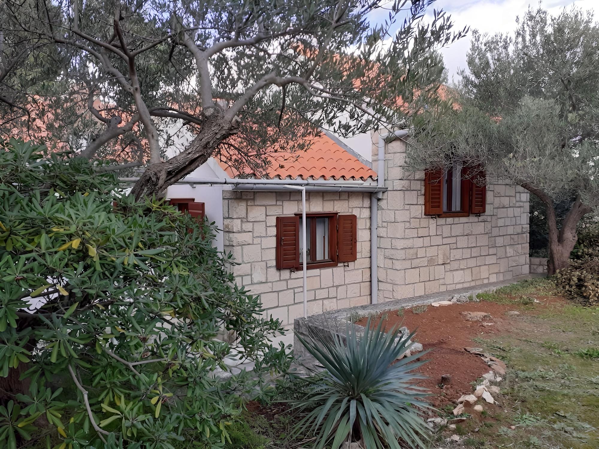Olive - 150 m From sea - H