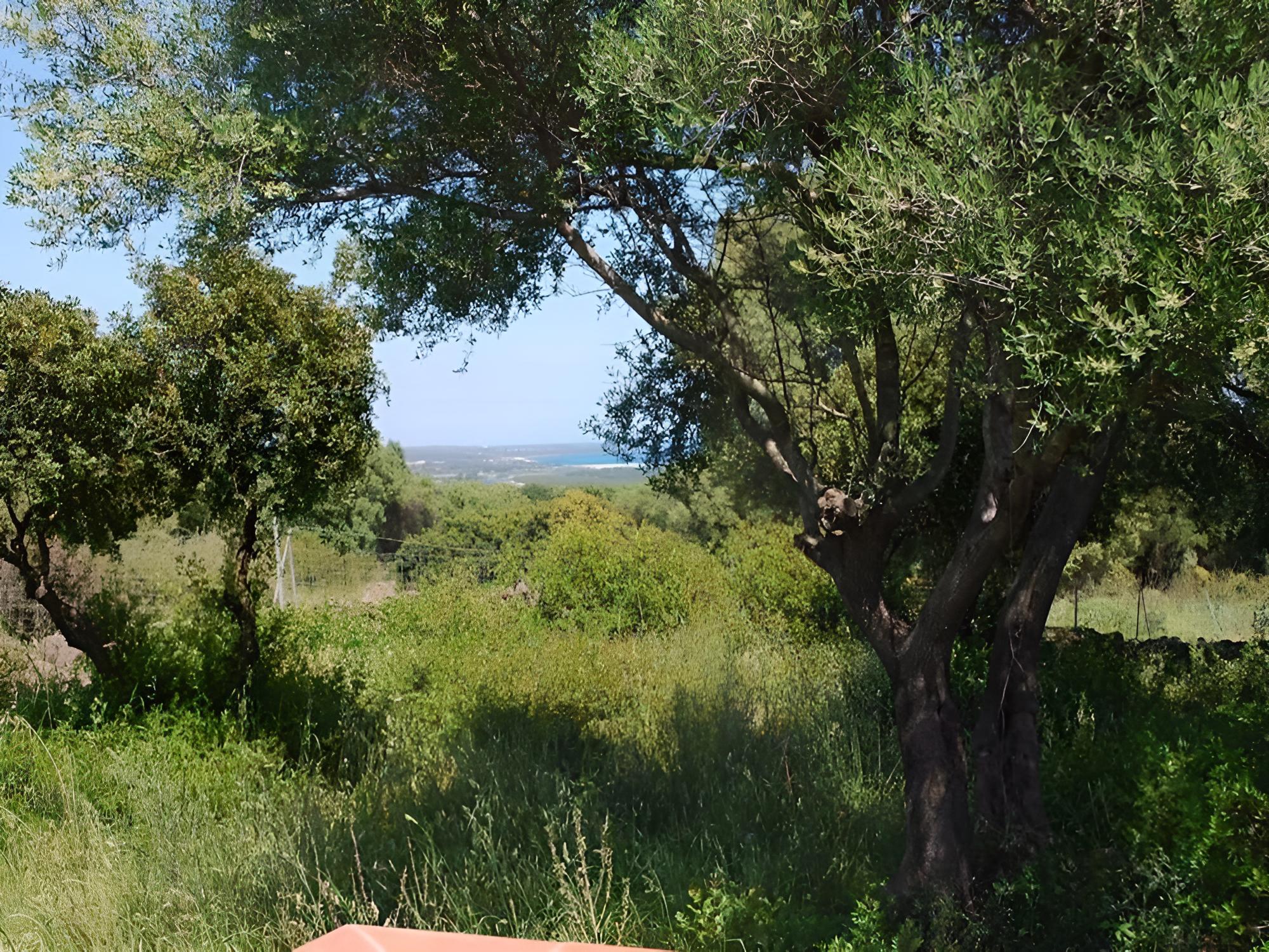 Agriturismo Gulunie a 800 mt dal mare
