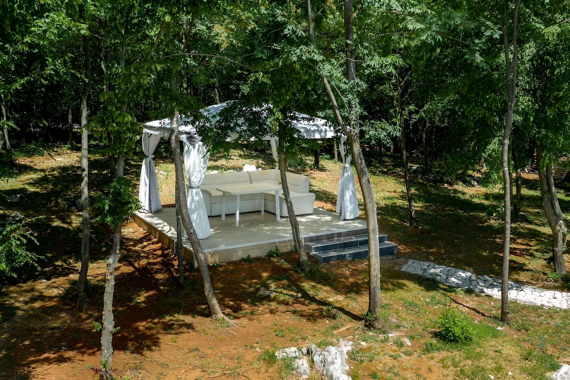 Vladimirg - Surrounded by Nature - H