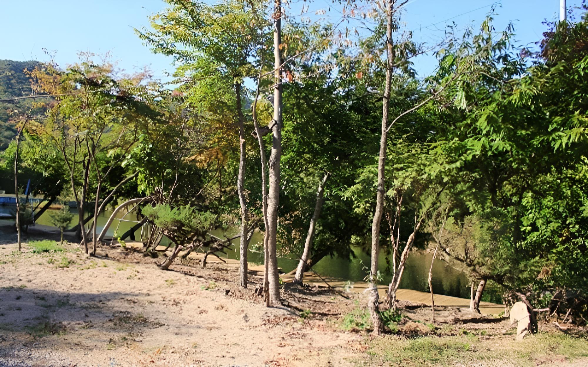 Photo 28