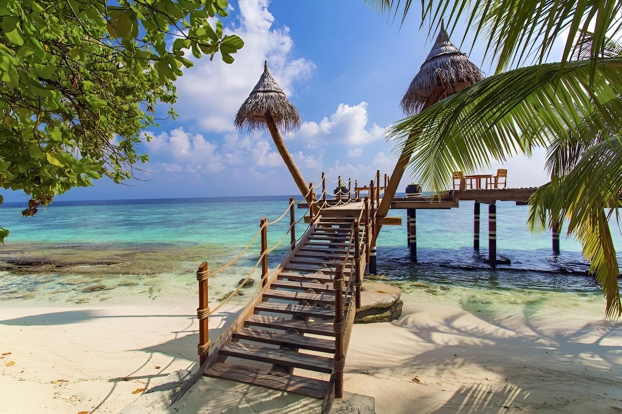 aaaVeee Nature's Paradise