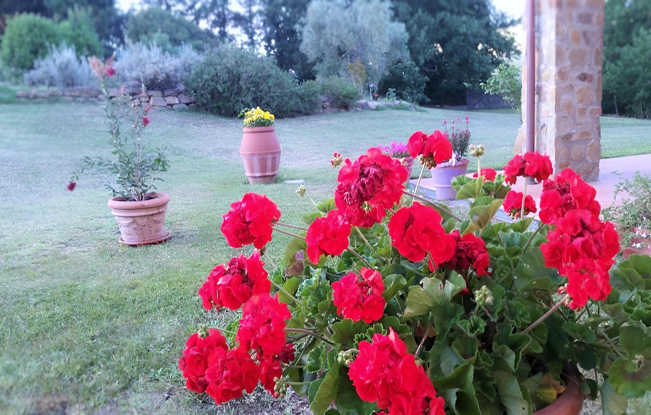 Agriturismo Bonzalone