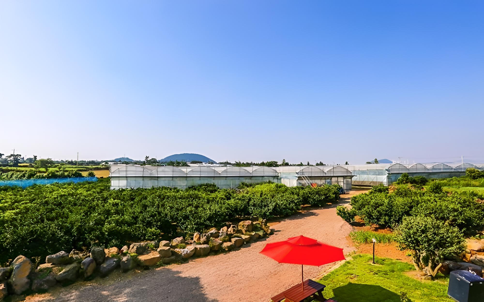 Jeju Osaekgyul Cheheom Pension