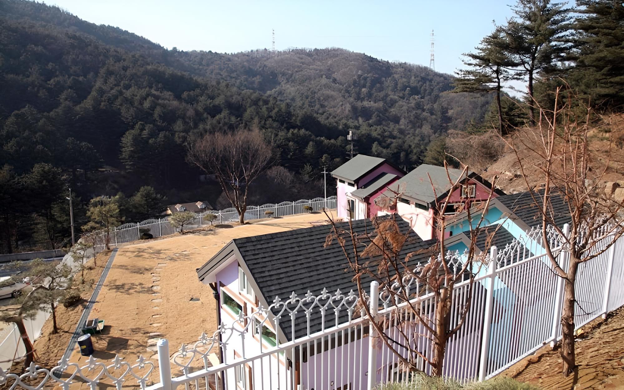 Pocheon Heal Forest Pension view 3