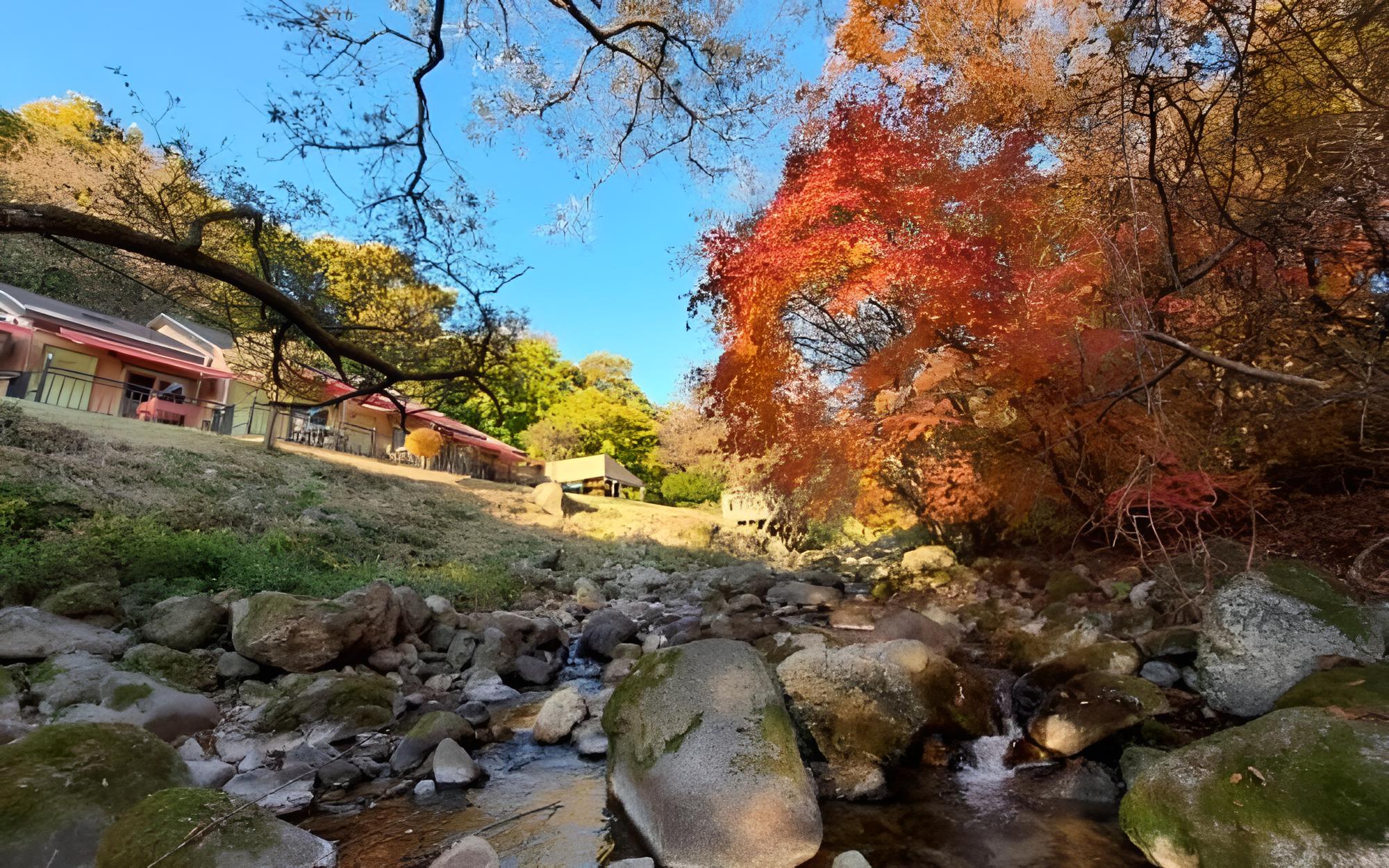 Yanggu Gaeguri Pension