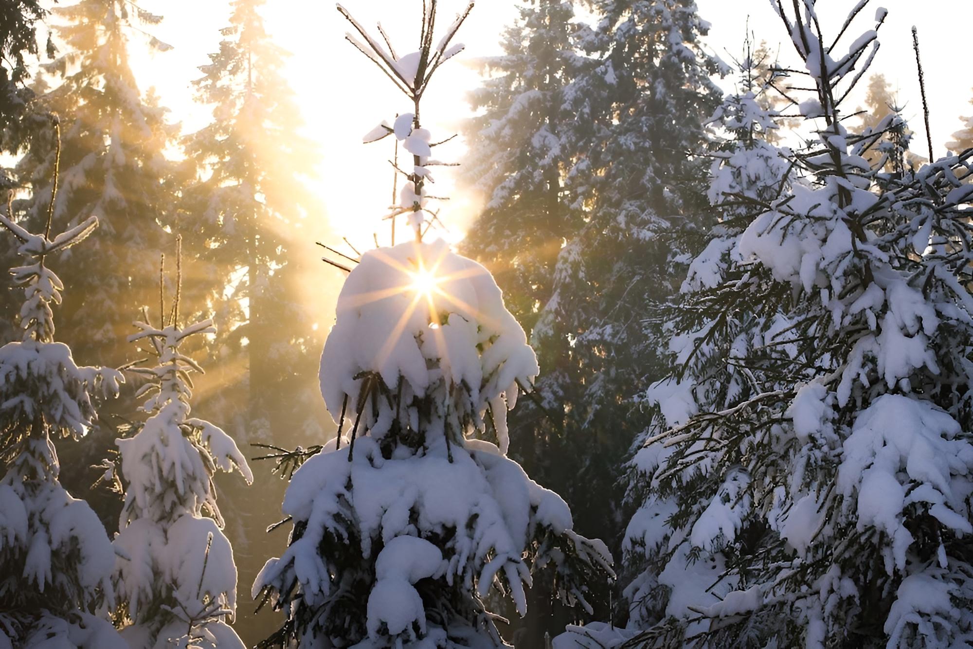 Landhaus Pension Voß
