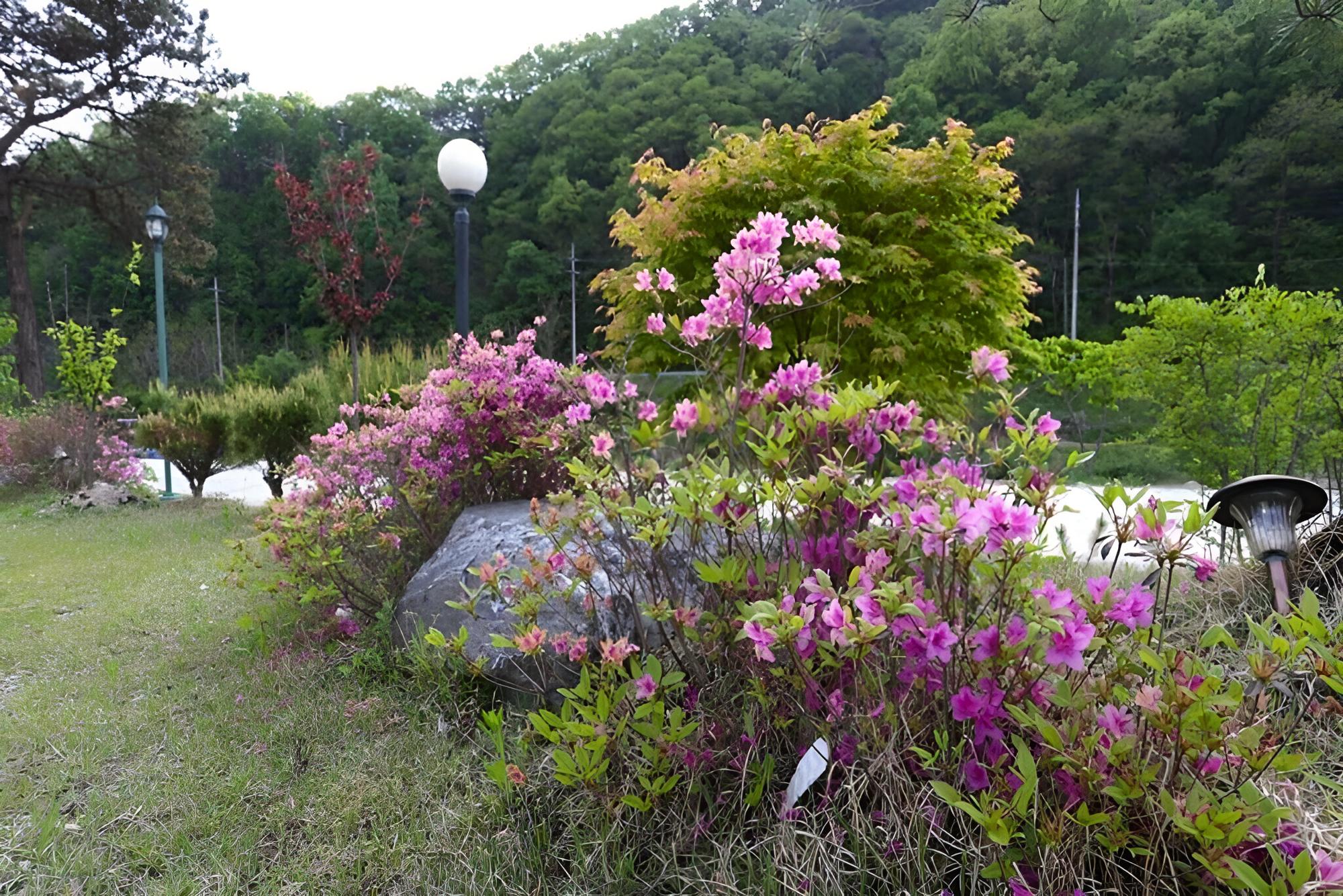 Yangpyeong Oettonjip Pension