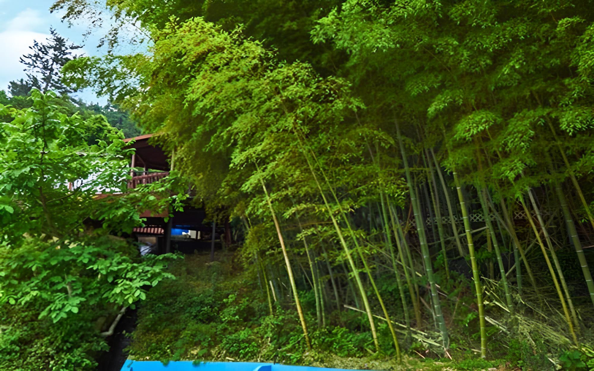 Yeosu Dolsan Healing Pension view 4
