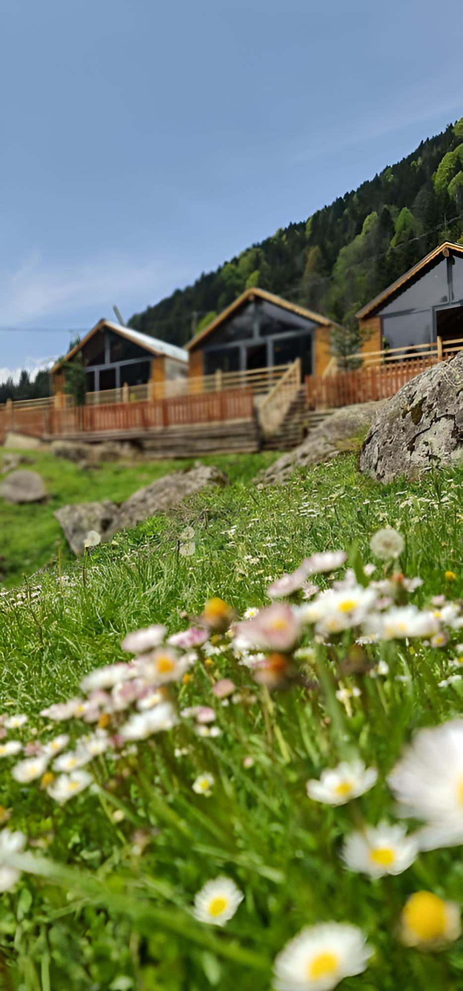 Ayder Yayla Bungalov view 4