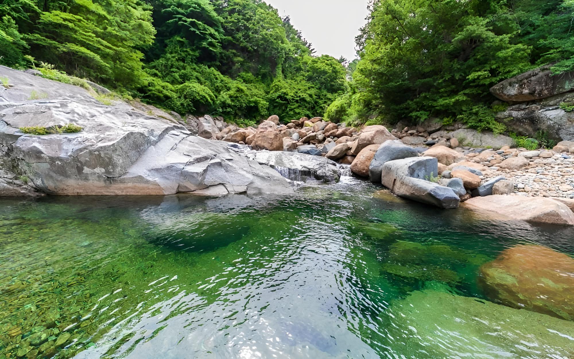 Gurye Jeonmangjoeunjip Pension view 3
