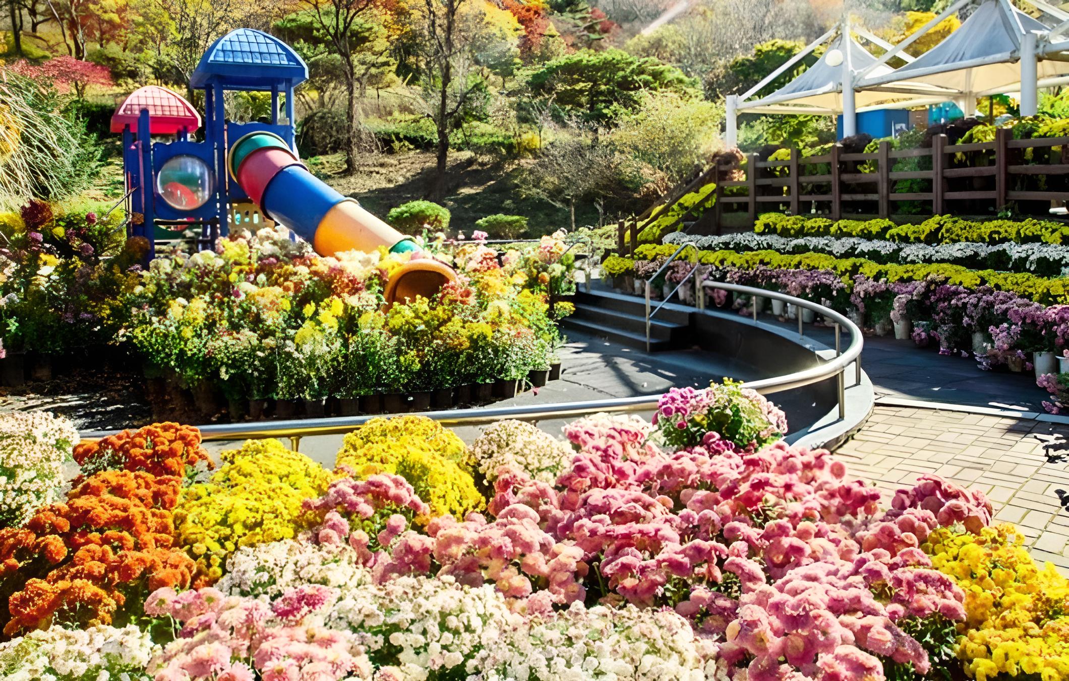 Chengyang Goun Healing Glamping