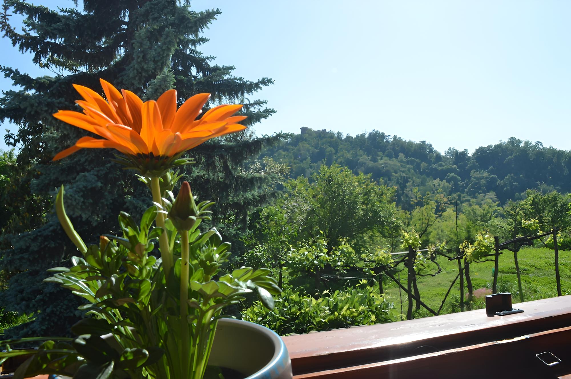 Cascina Dovese