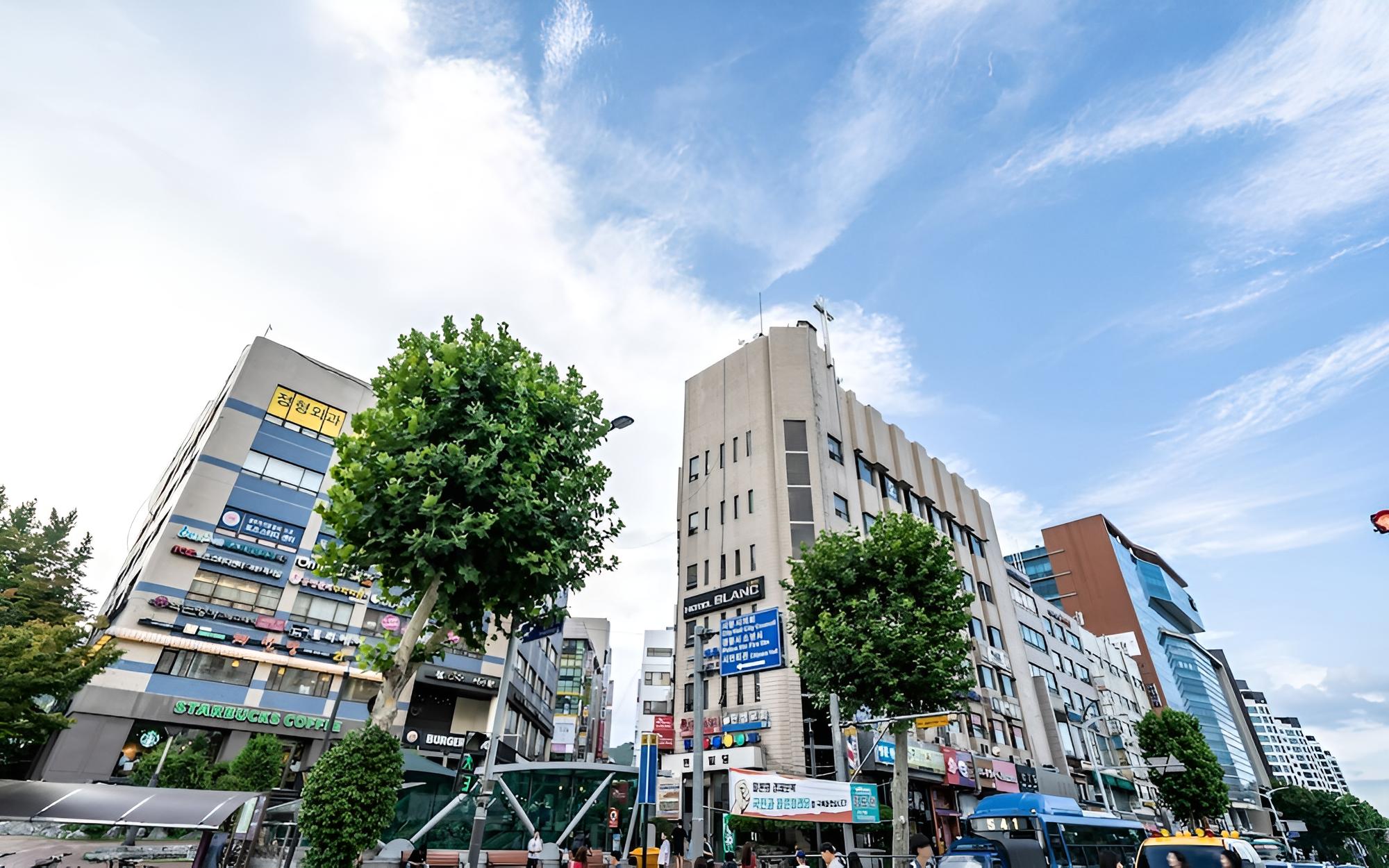 Gwacheon Blanc