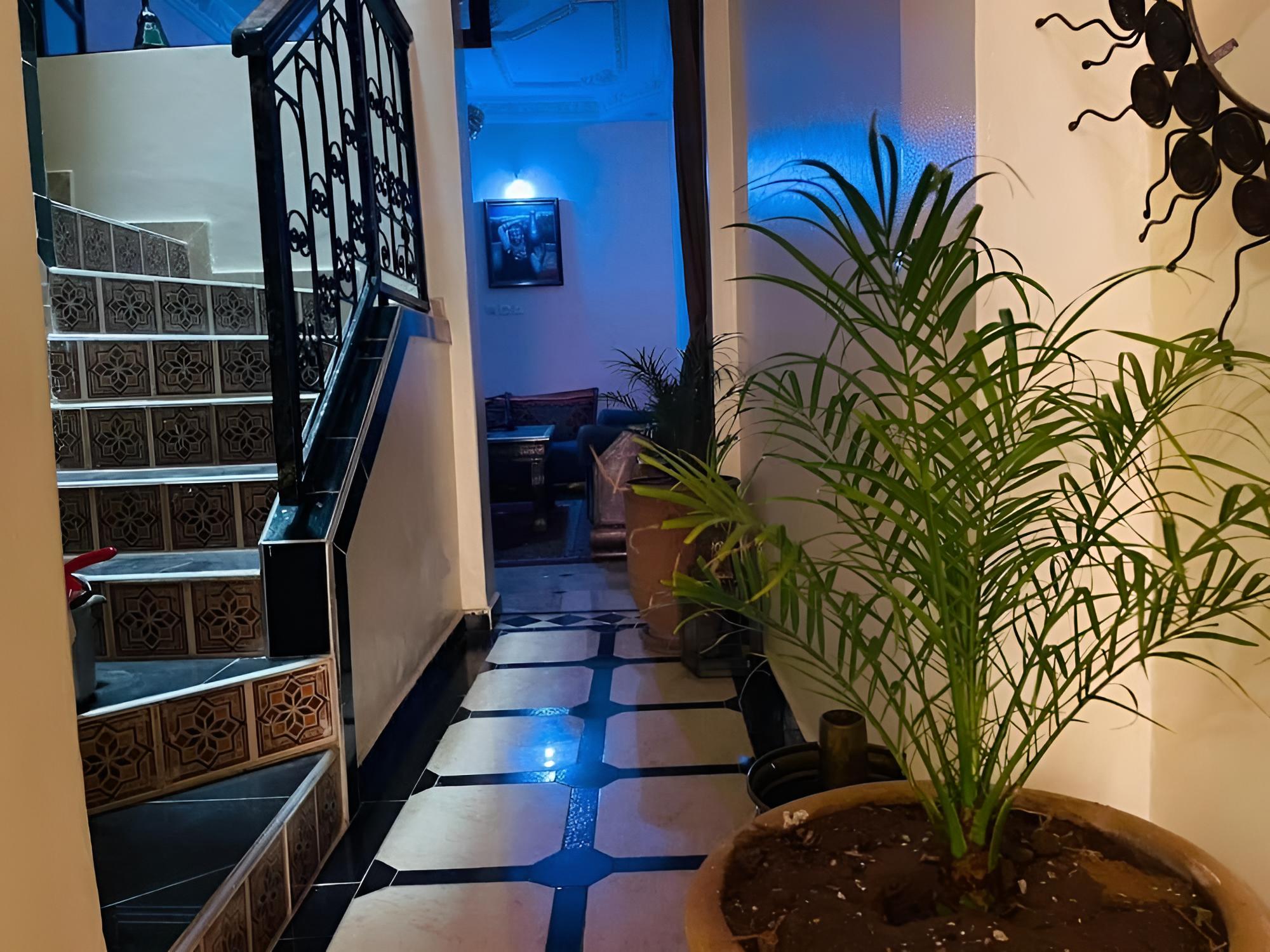 Riad Terrasse MS Holiday Medina