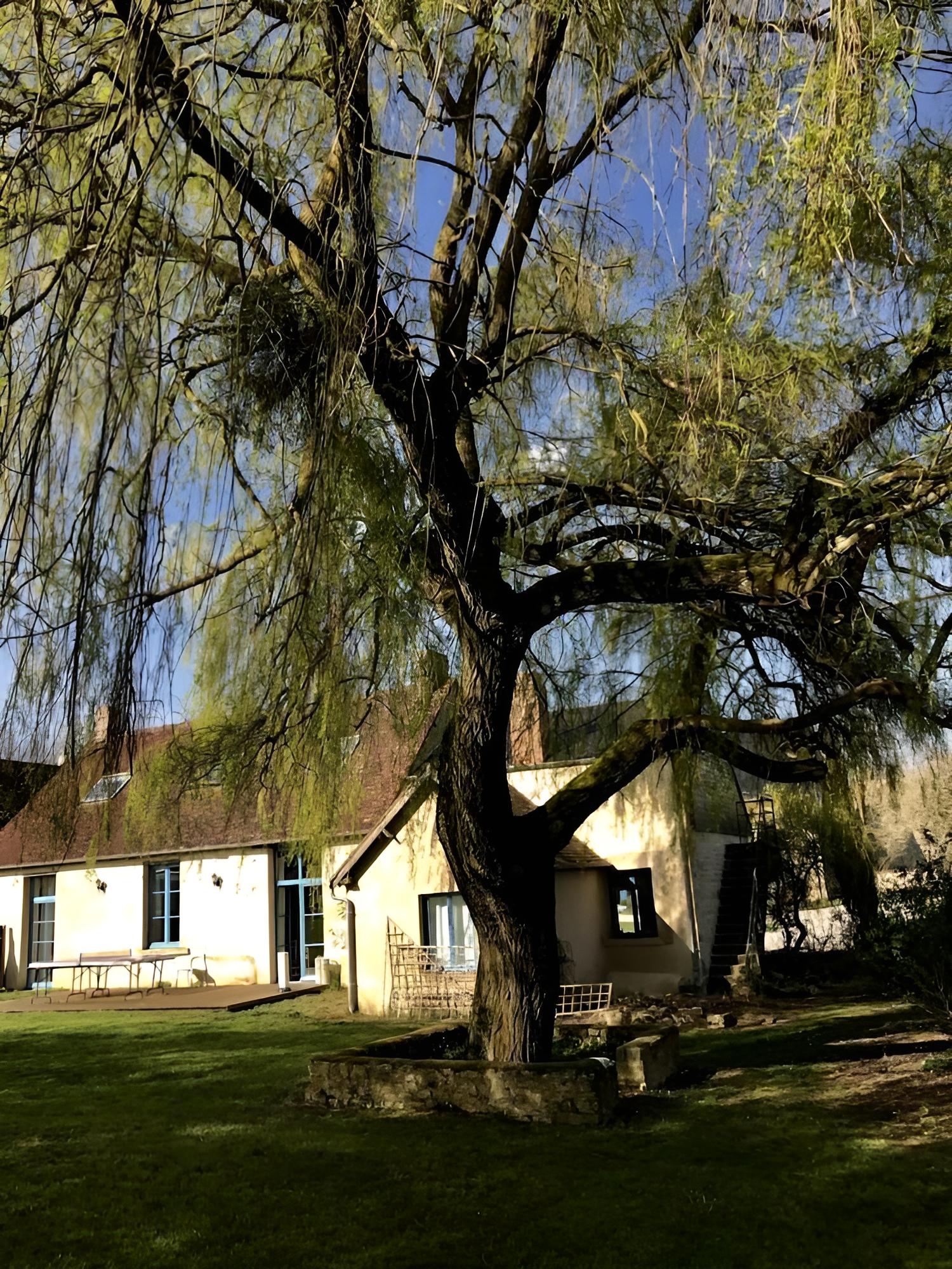 Photo 21