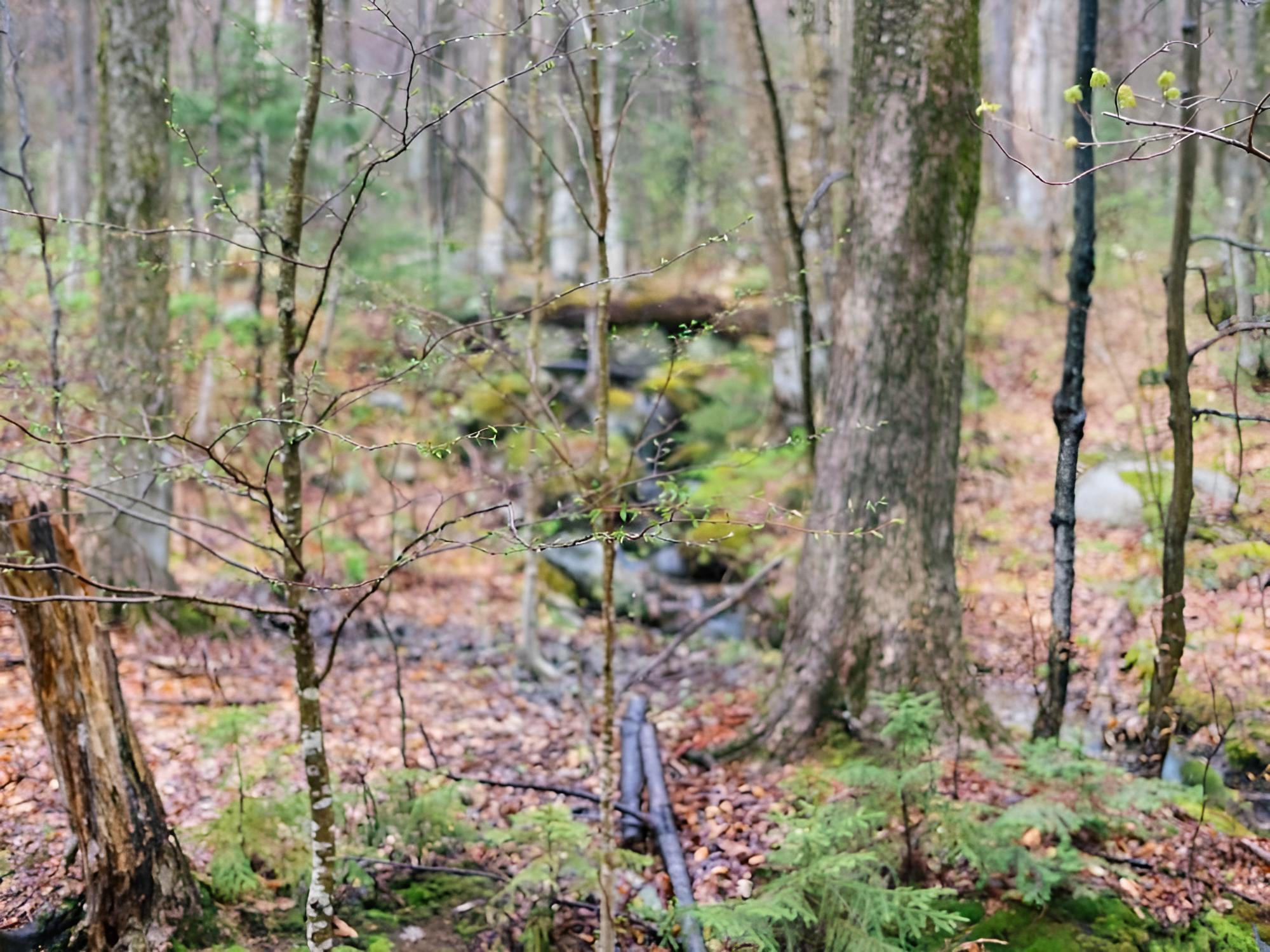 Killington Vacations - Edgemont C3 - Property Image 21