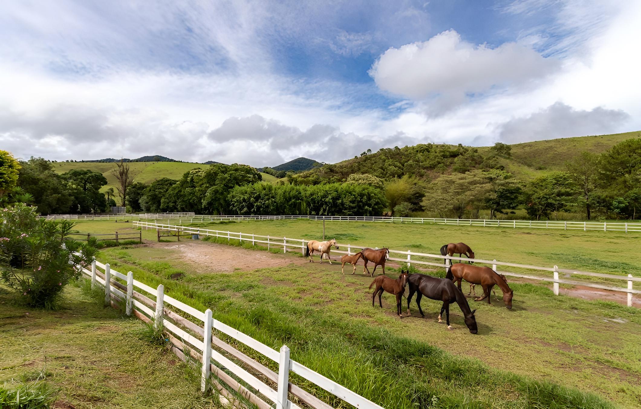 Farm in Pouso Alto MG Tranquility and Comfort