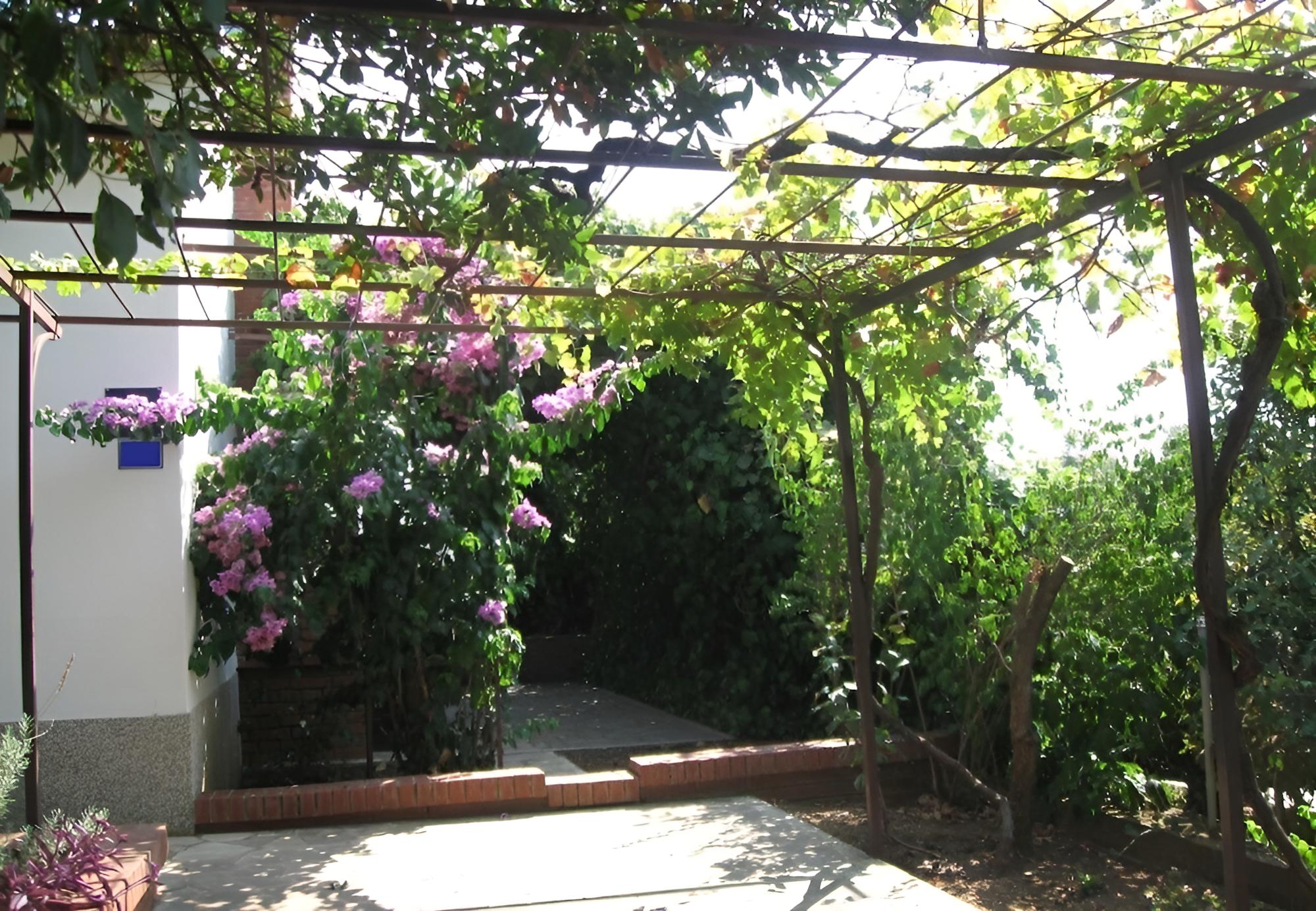 Photo 14
