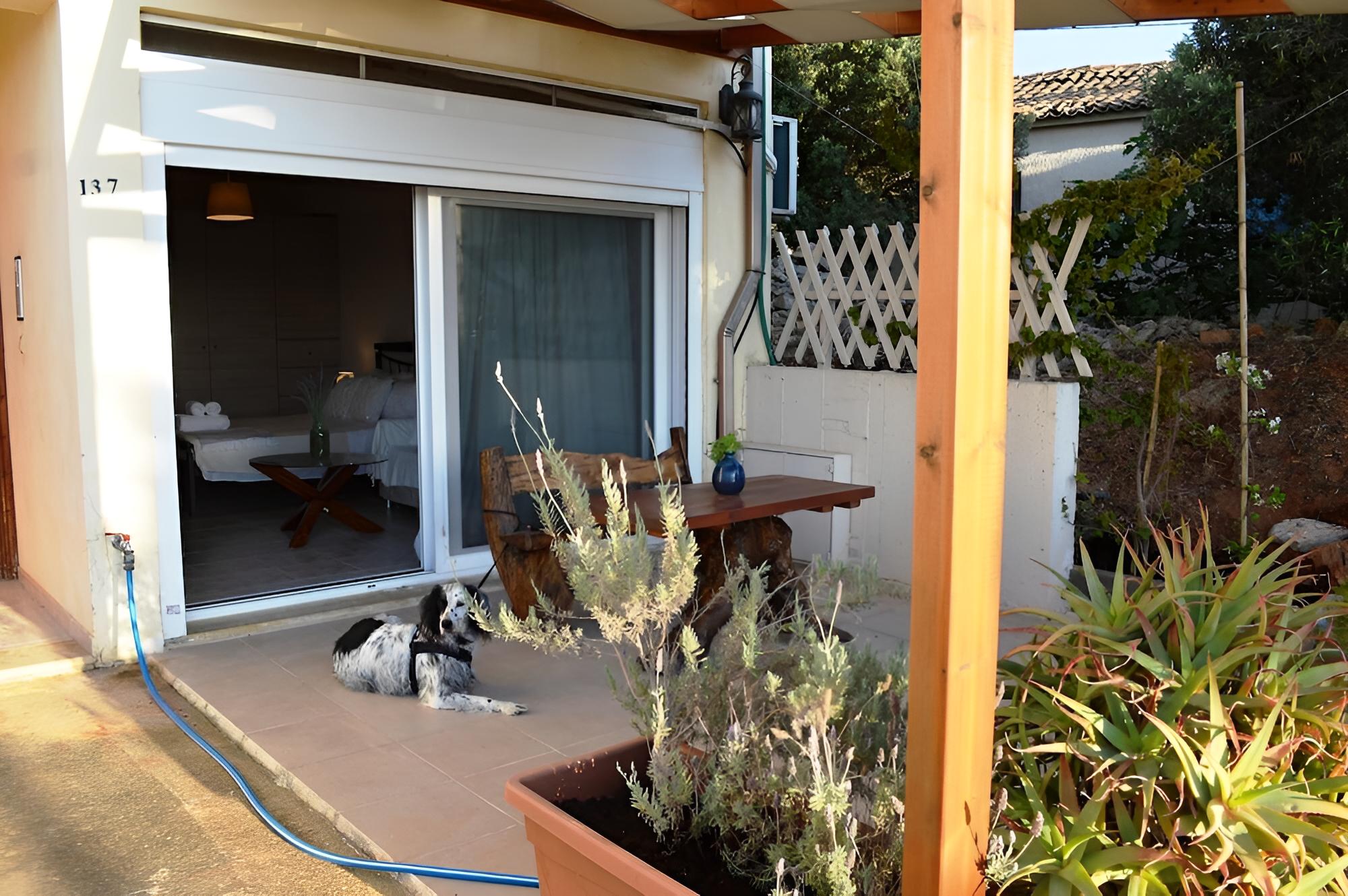 Best House Petit in Pilos
