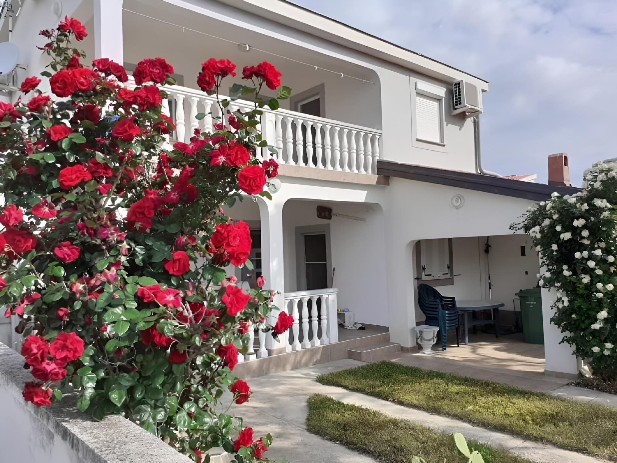 Tihana - 200 m From sea - A1