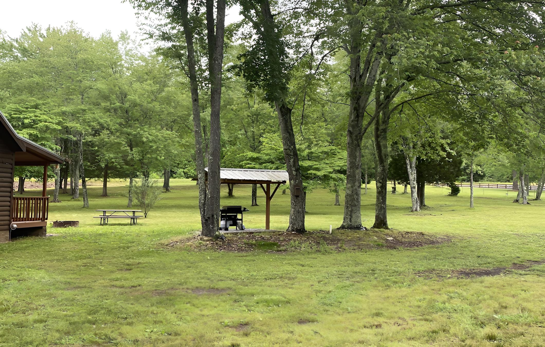 Little Tracks Cabins