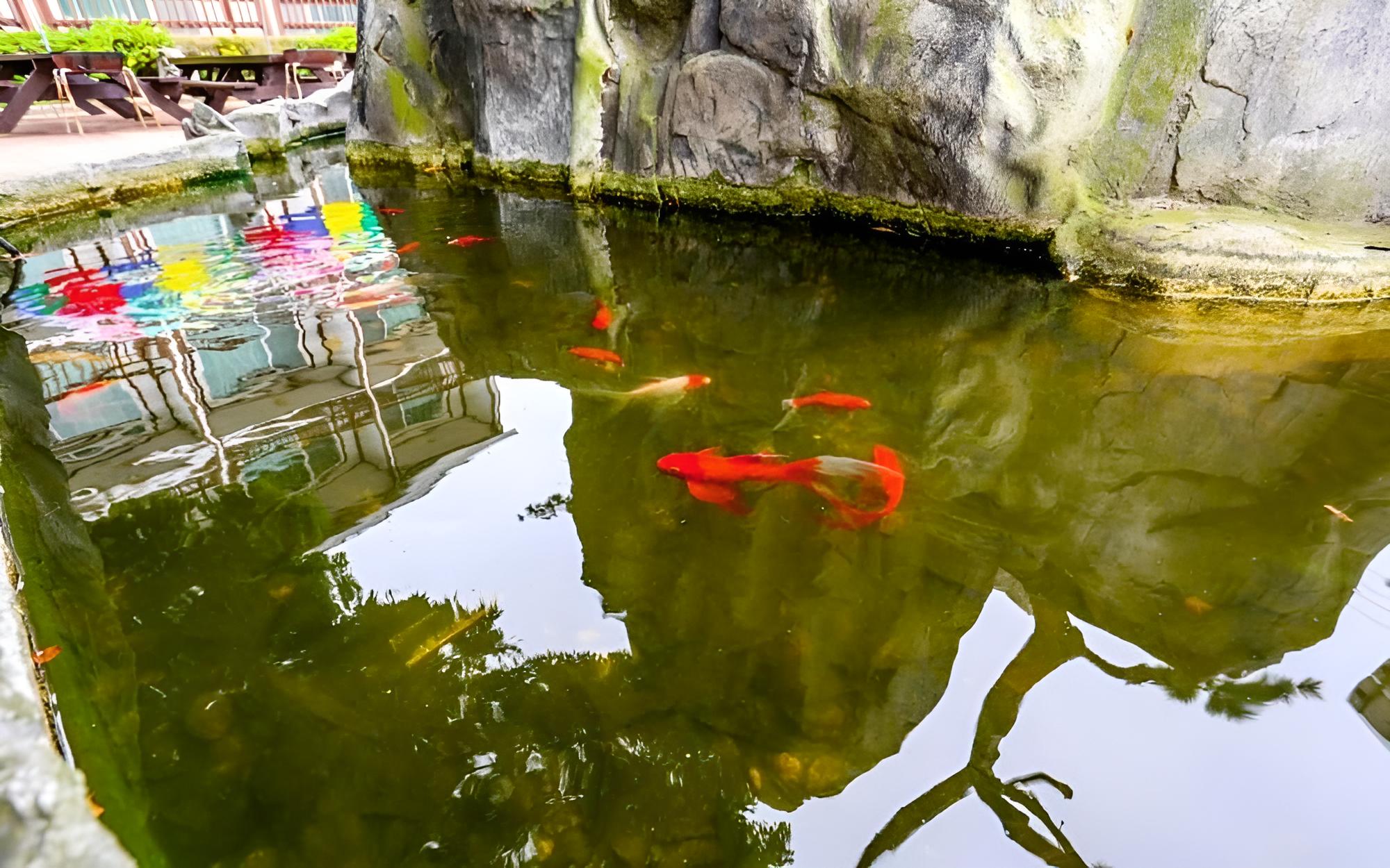 Taean Sinduri Park Pension