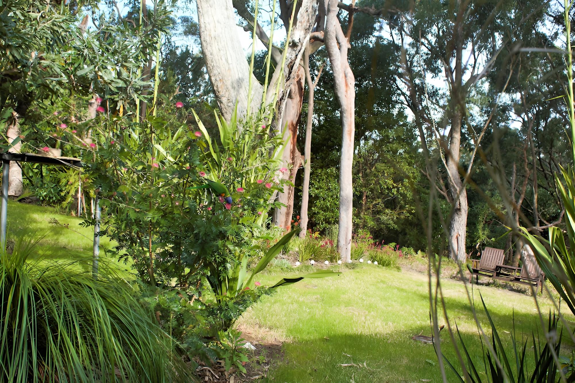 Nelson Bay Bed & Breakfast