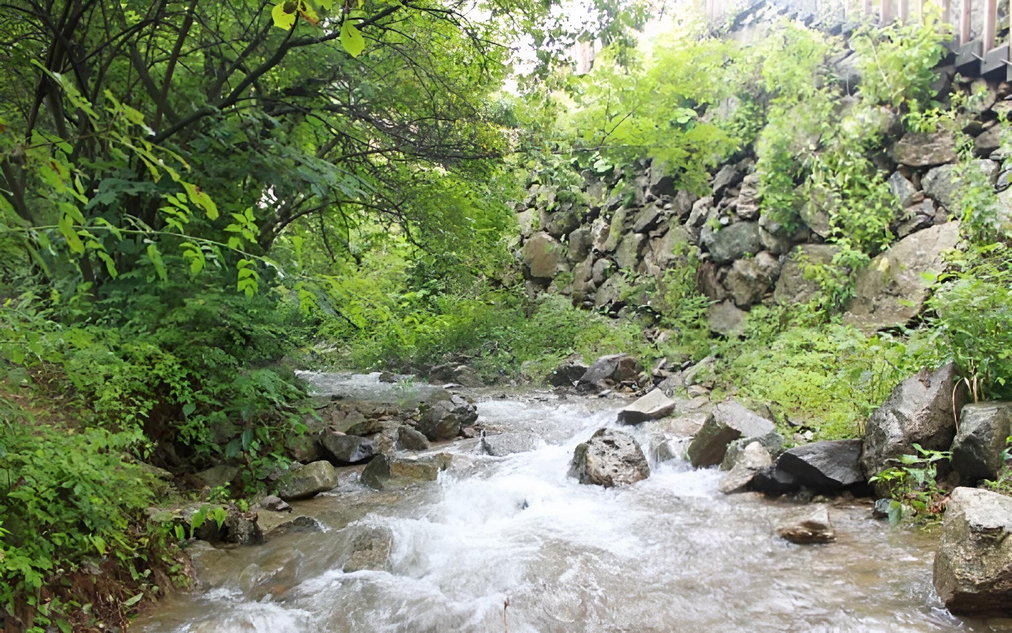 Yangpyeong Pension Forest view 4