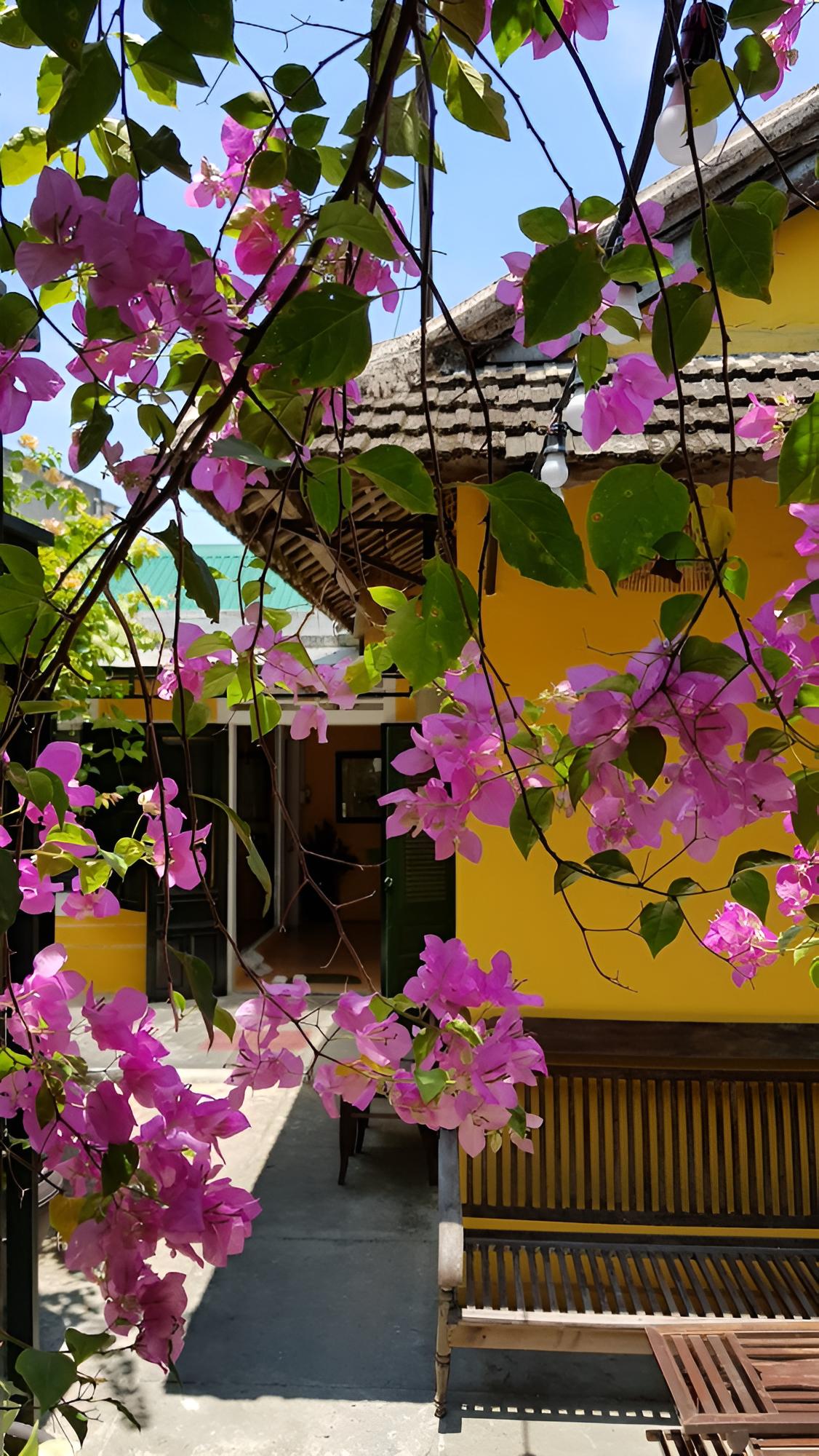 Lotus House