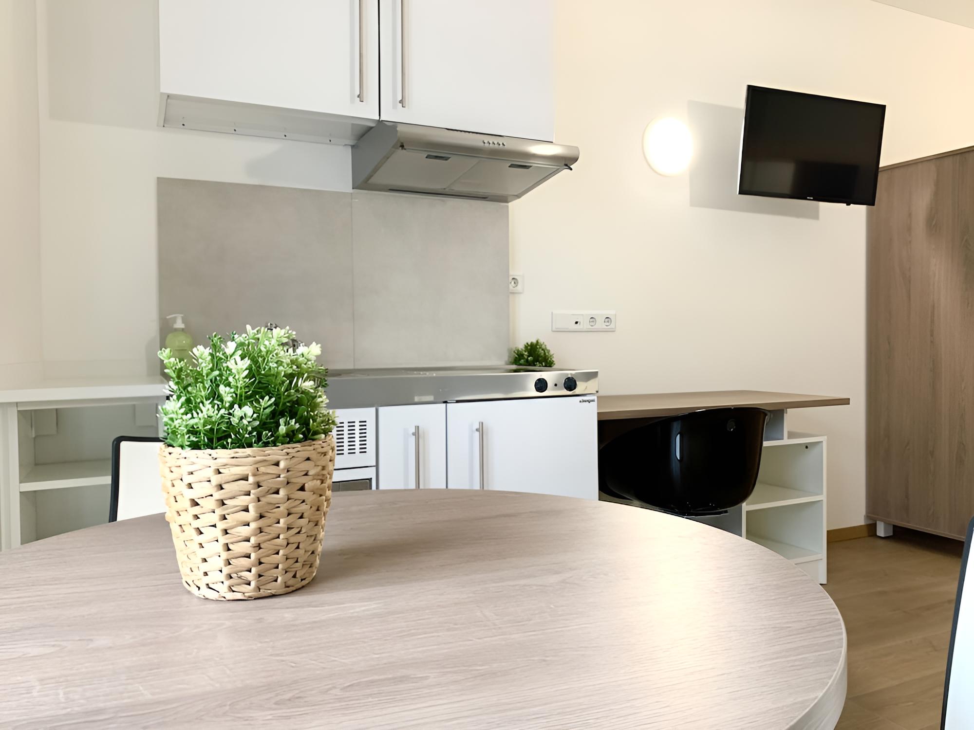 Modern Studio Near Gym & Shopping Mall