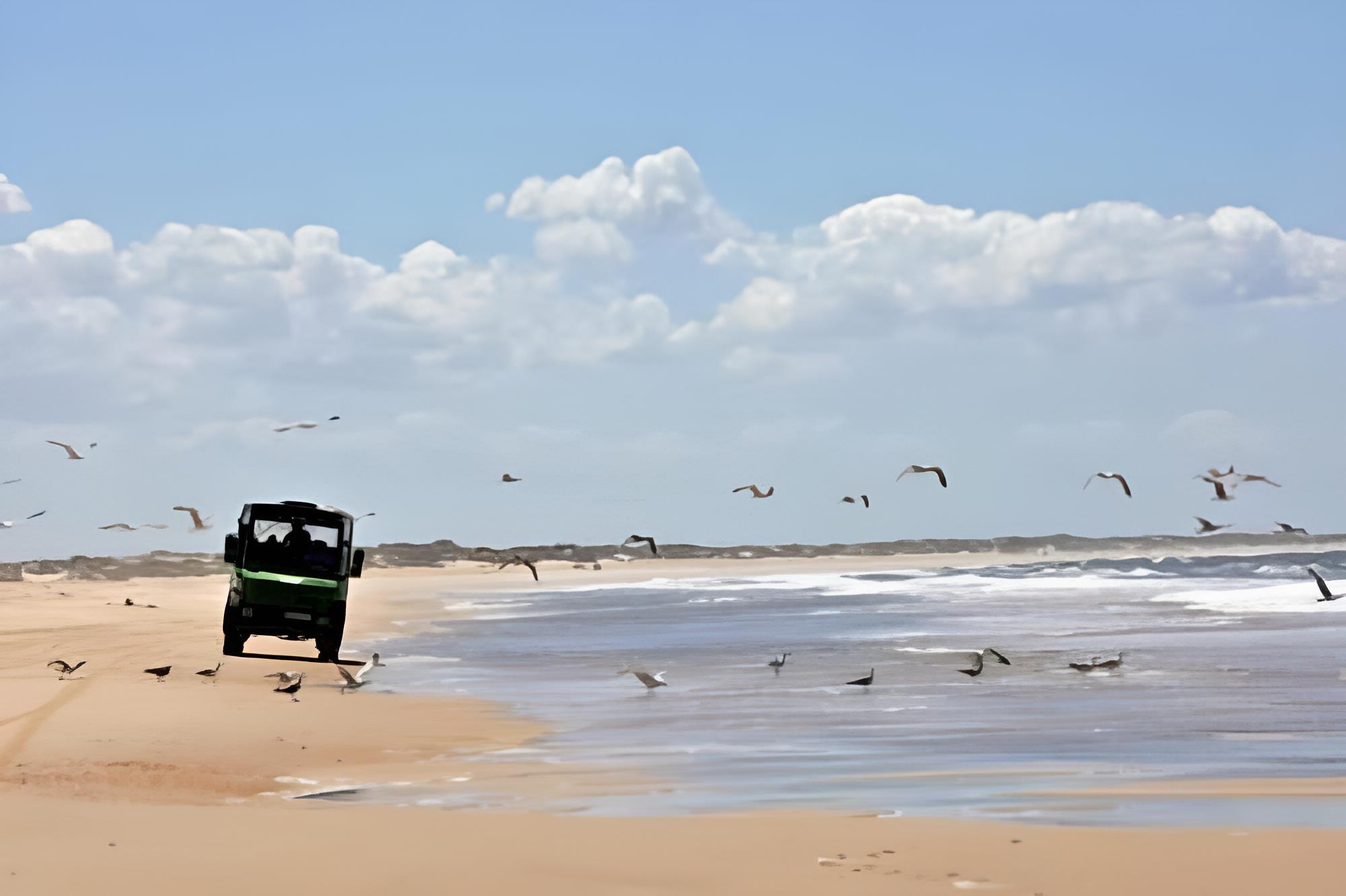 Casa Rural Doñana 51