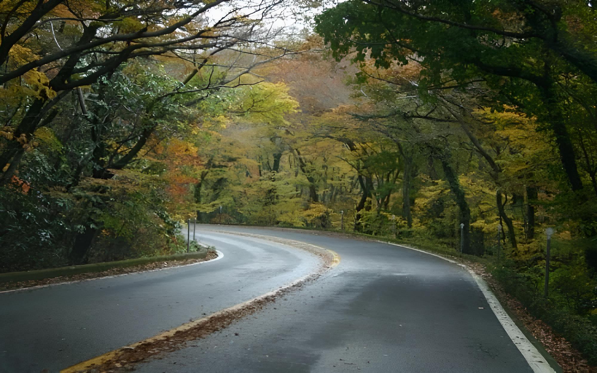 Gyeongju Alice Pension — photo 39