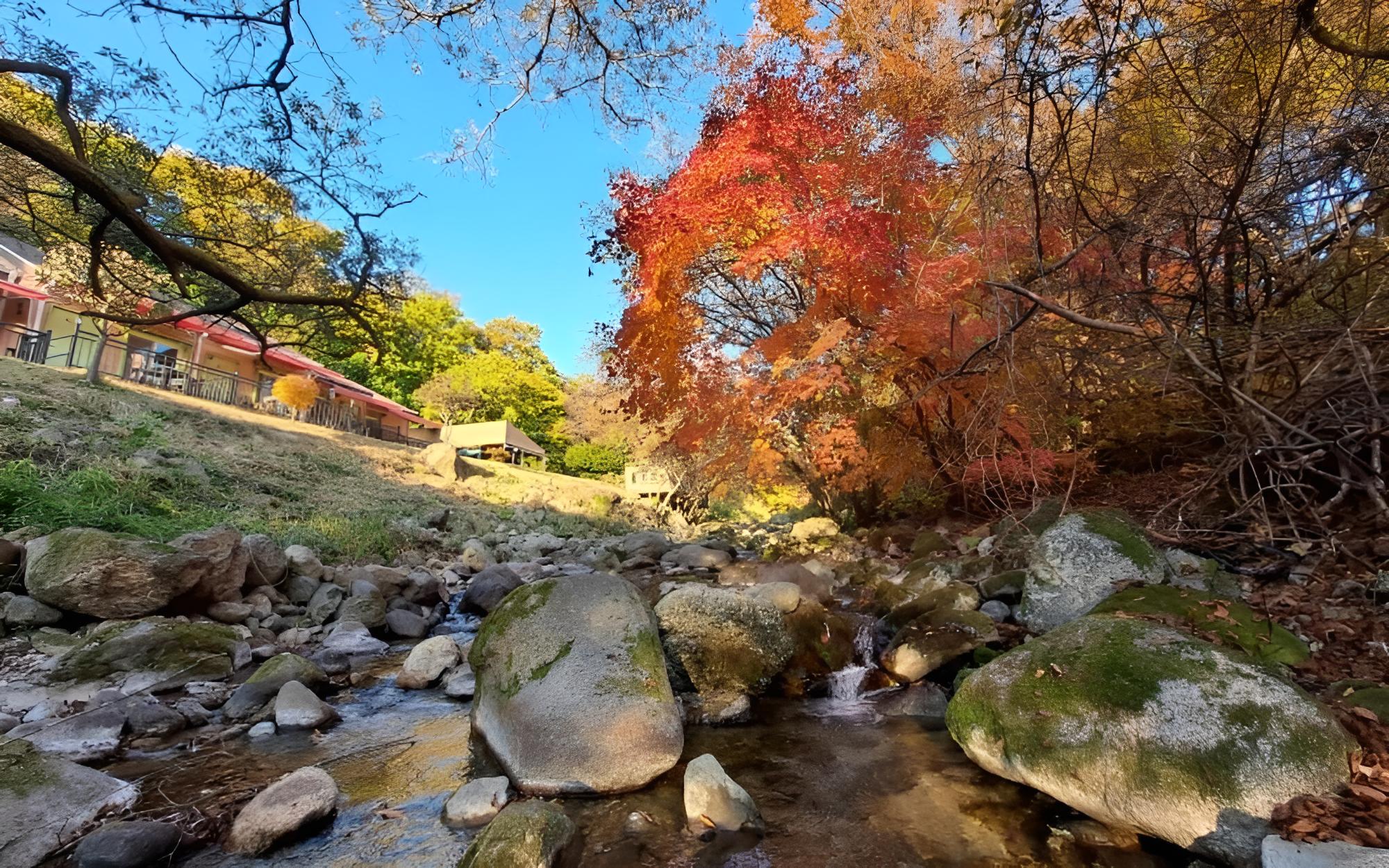 Yanggu Gaeguri Pension