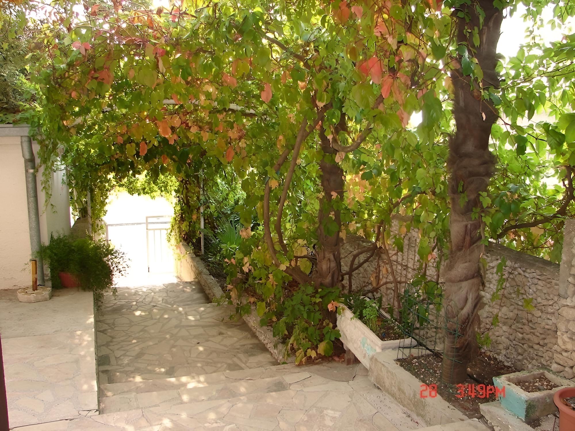 Photo 26
