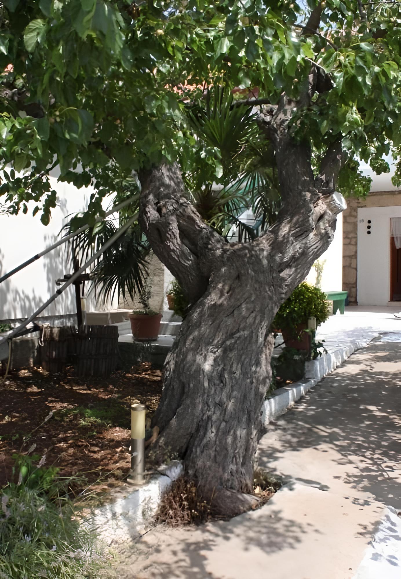 Photo 16