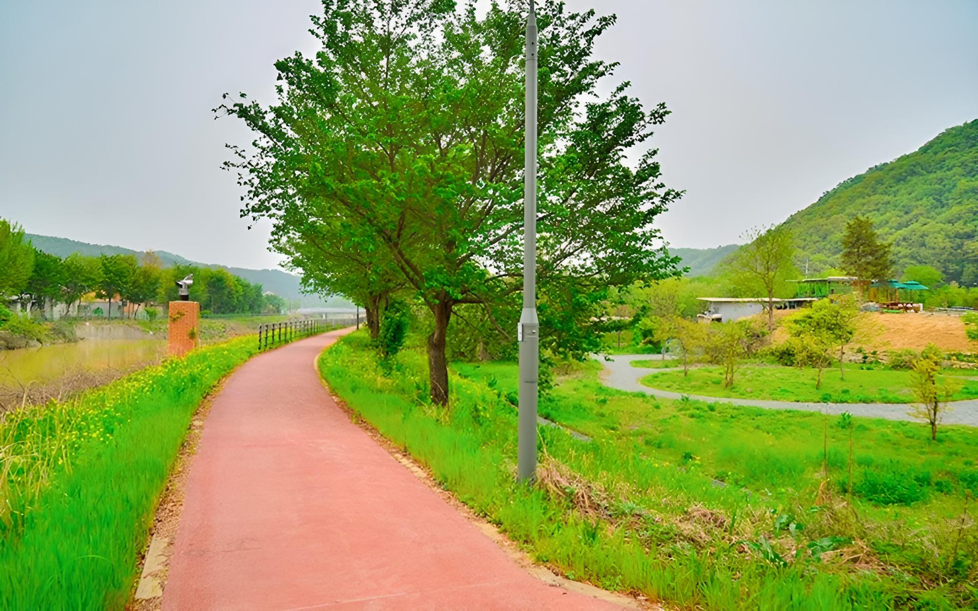 Photo 45